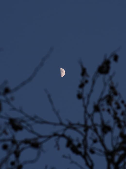 Halbmond am Nachthimmel