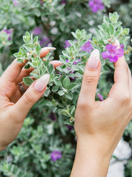 Nägel mit Blumendesign