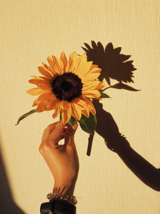 Sonnenblumen Nageldesign