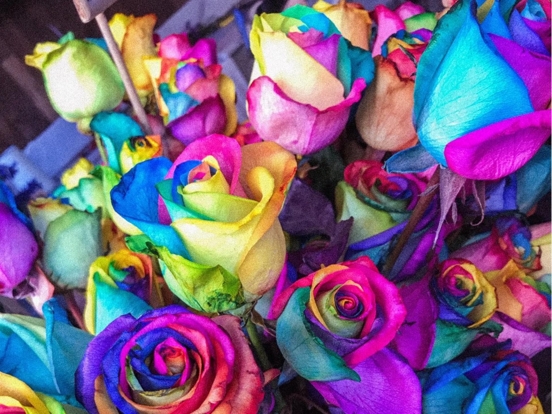 Farben und ihre Bedeutung Farben und ihre Bedeutung