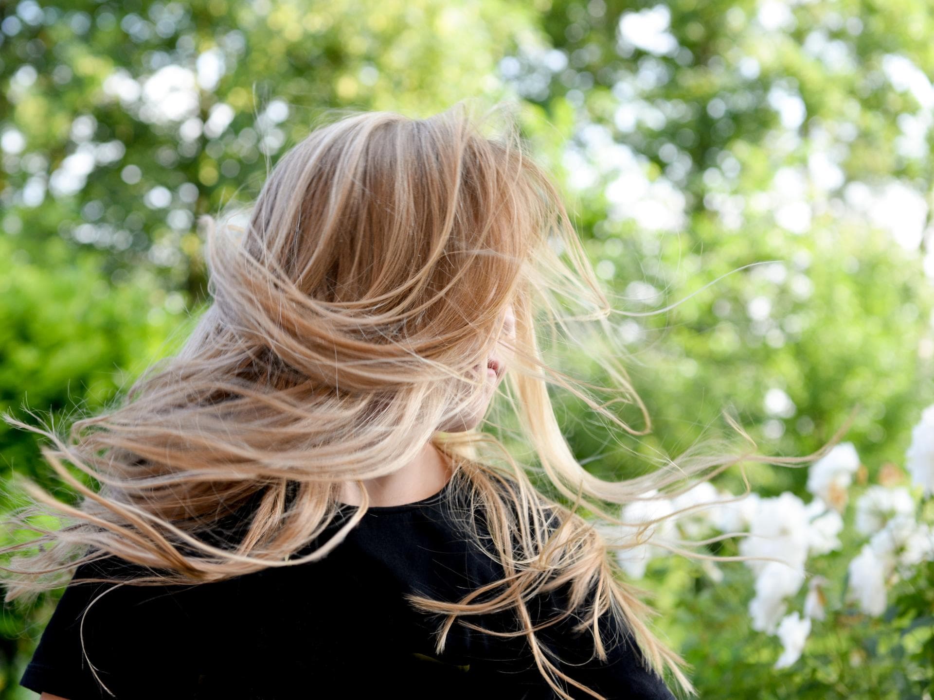 Haar Haar