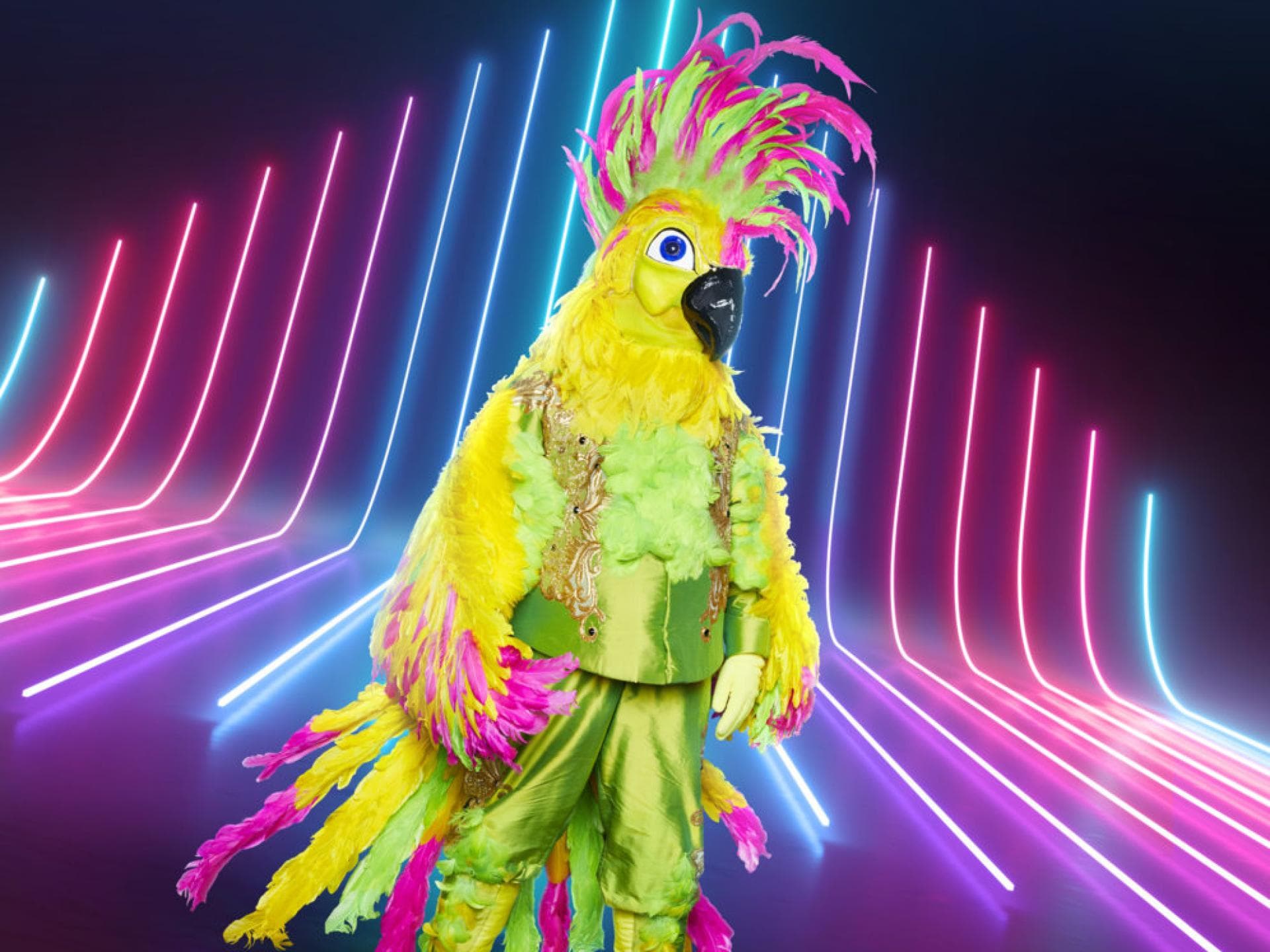 The Masked Singer
