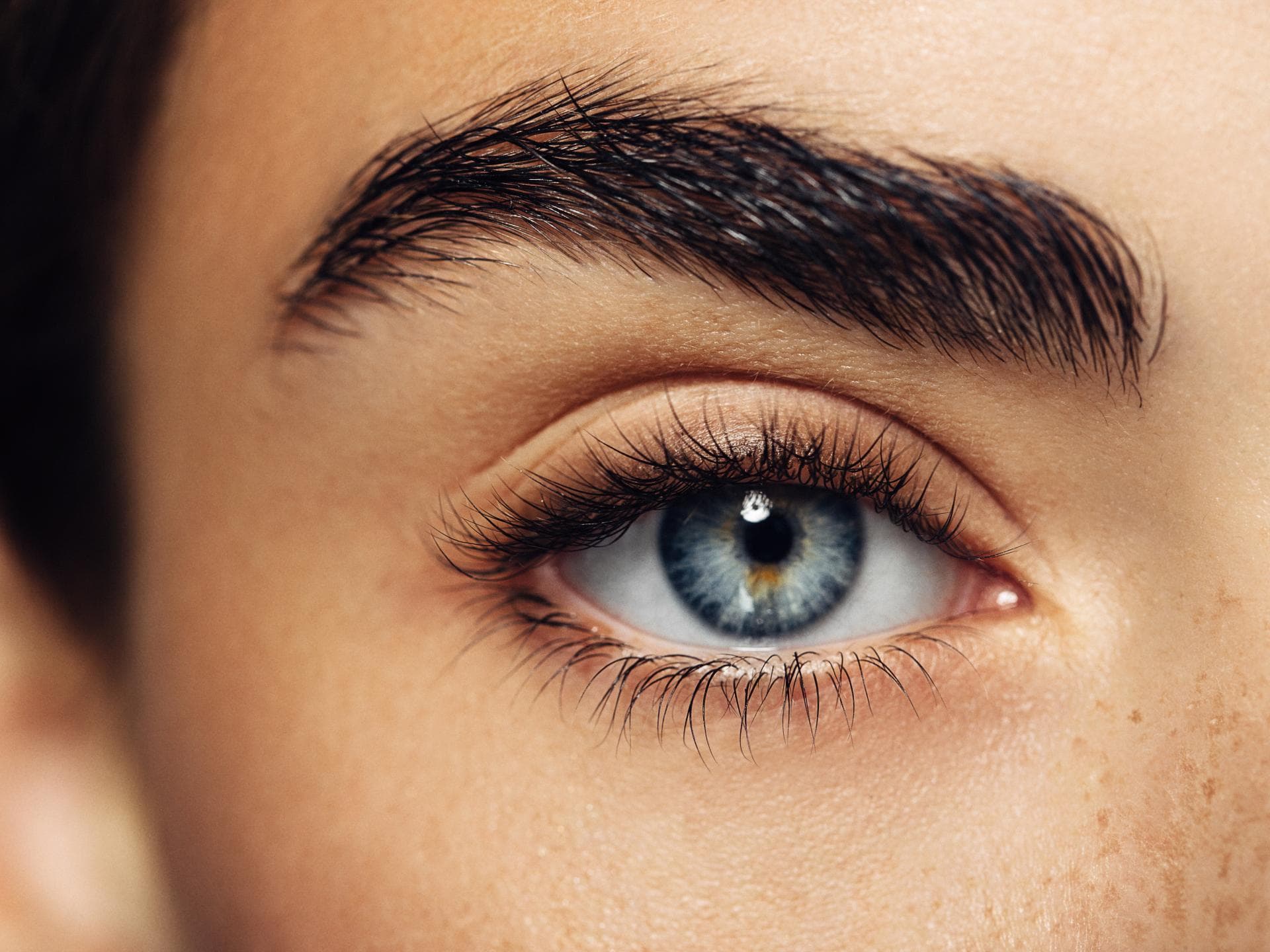 Wimpern