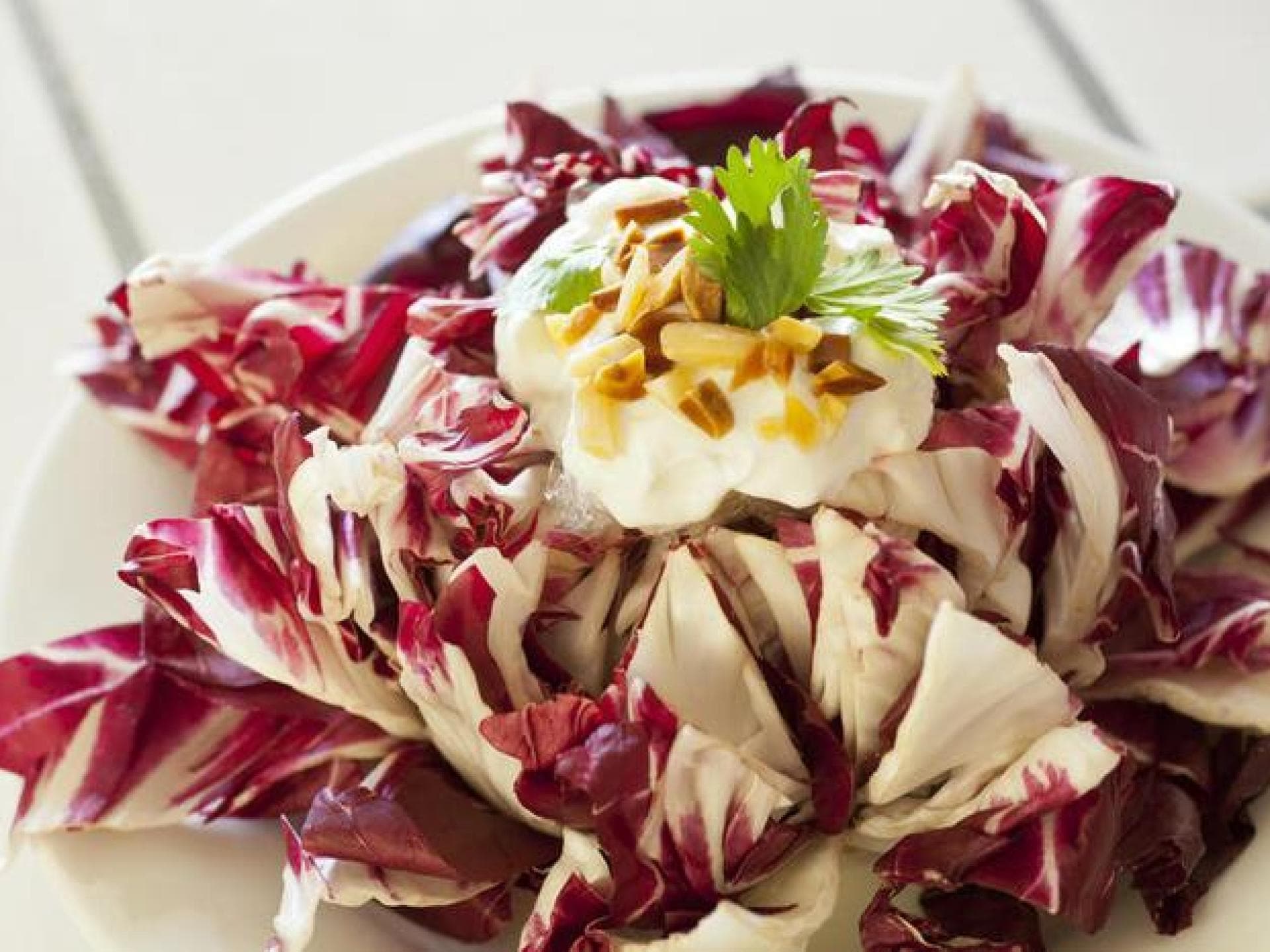 Radieschen-Kräuterquark-Joghurt auf Salatbett
