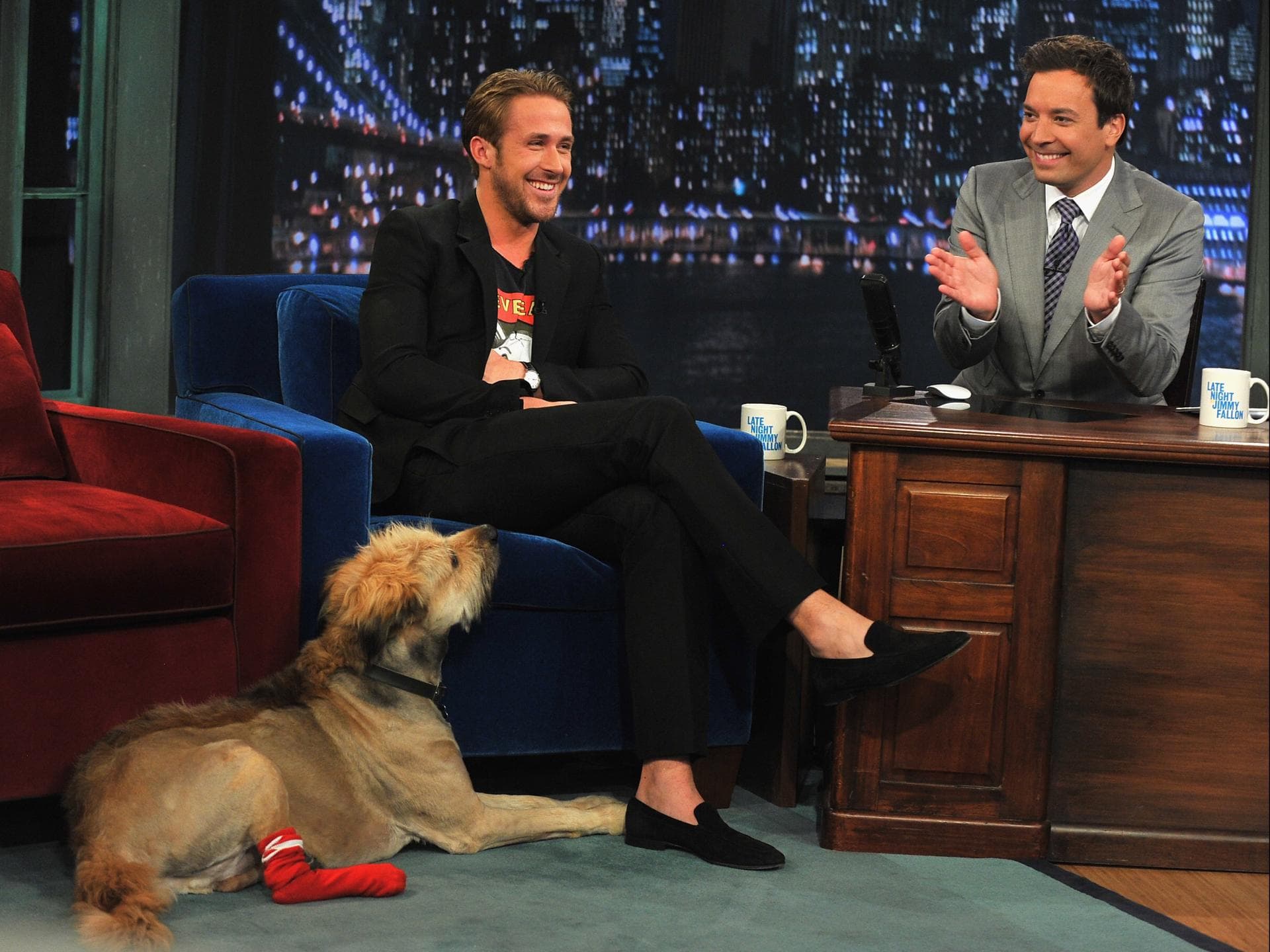 ryan gosling und hund george ryan gosling und hund george