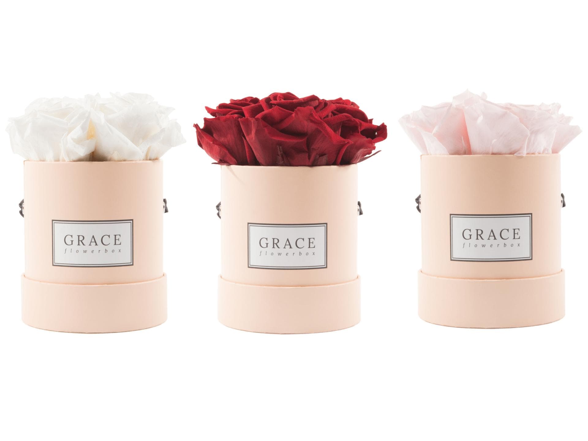 Grace Flowerbox Farbauswahl Grace Flowerbox Farbauswahl