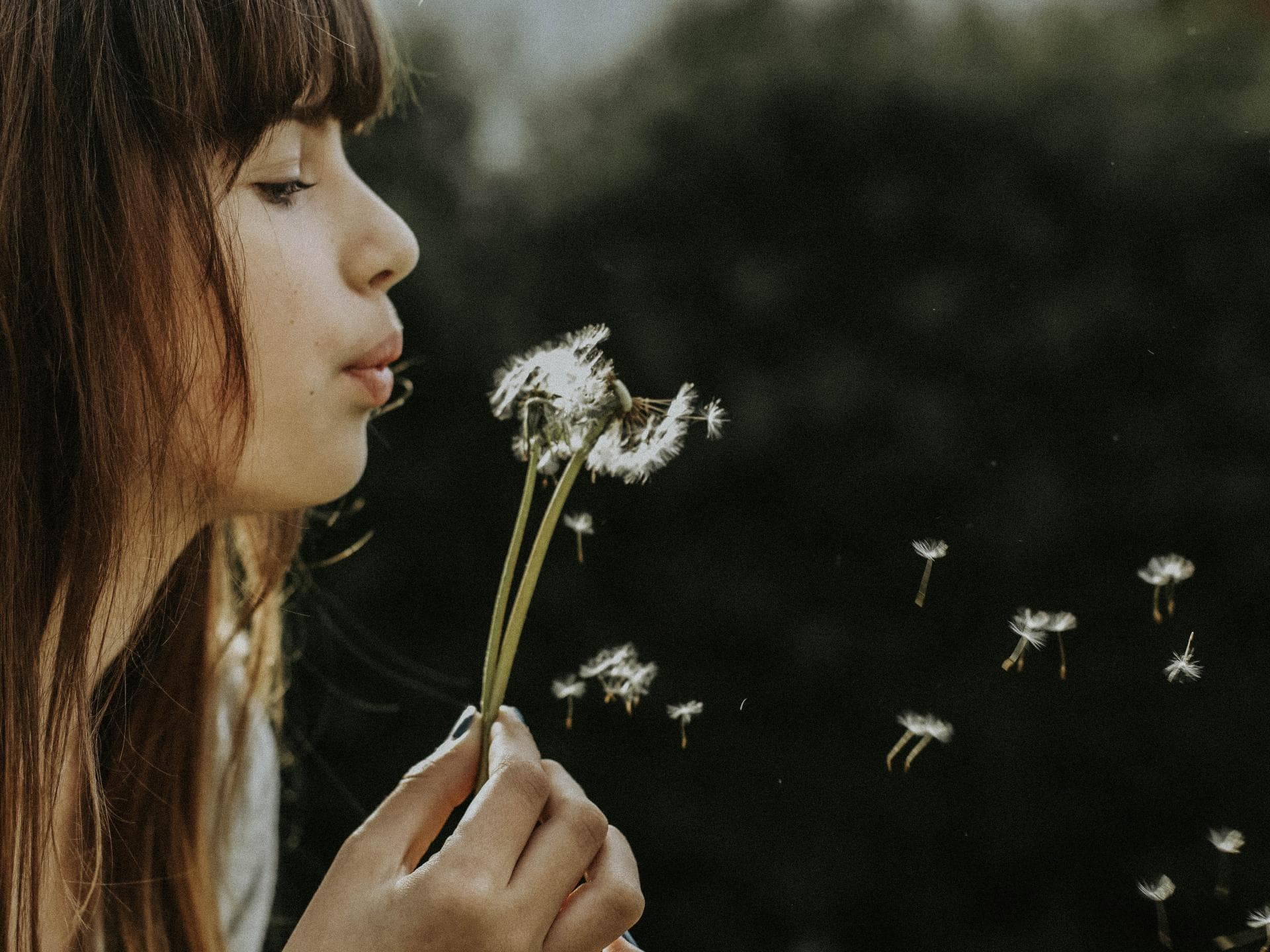 Frau pustet Pusteblume