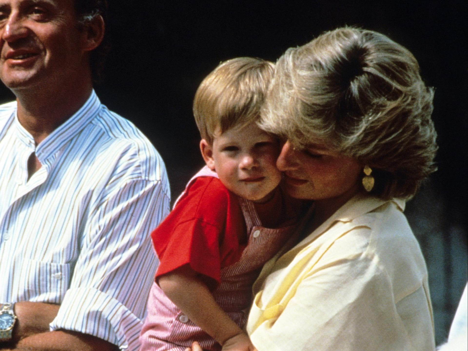prinz harry prinzessin diana