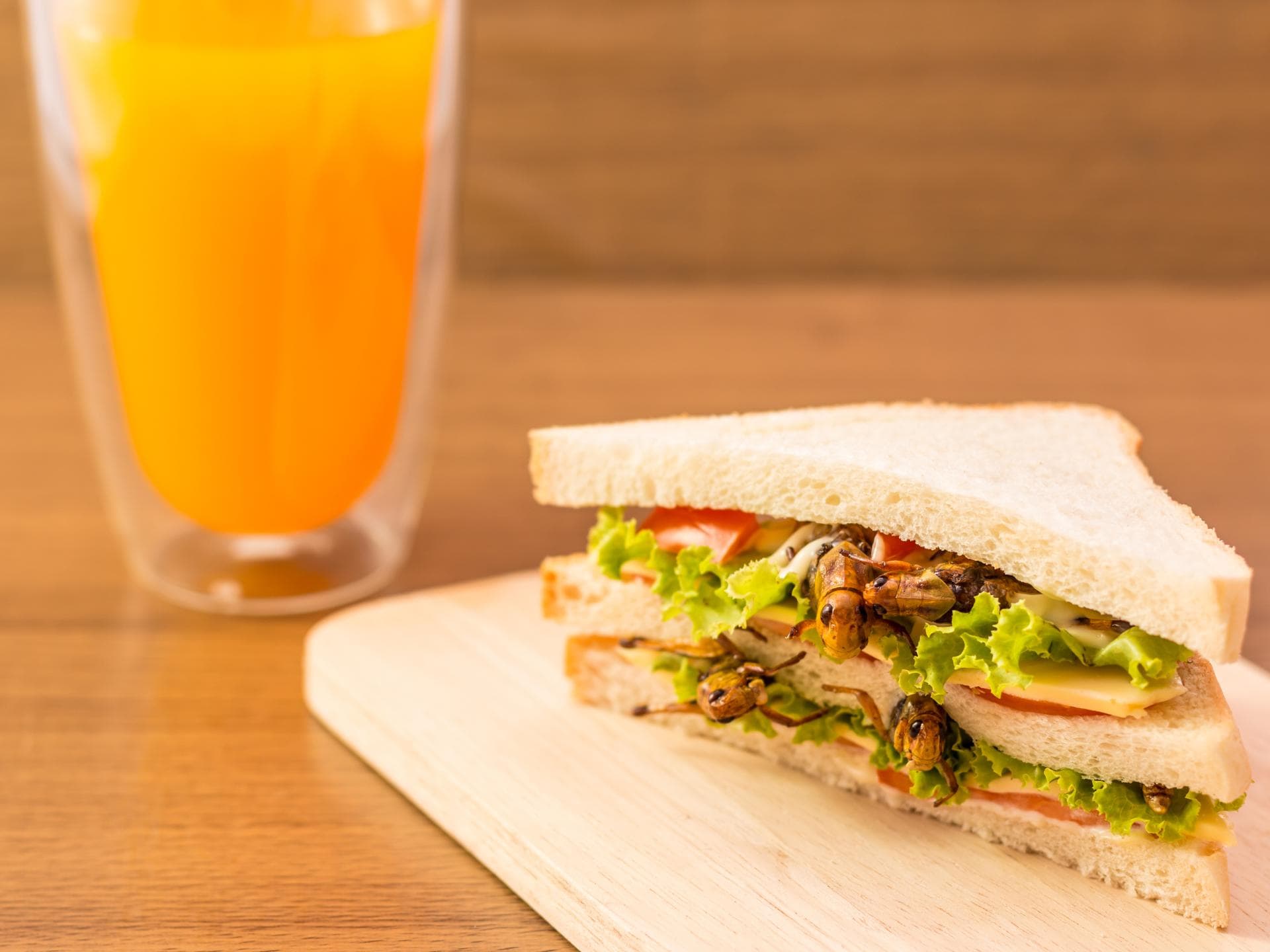 Sandwich mit Heuschrecken und einem Glas Orangensaft