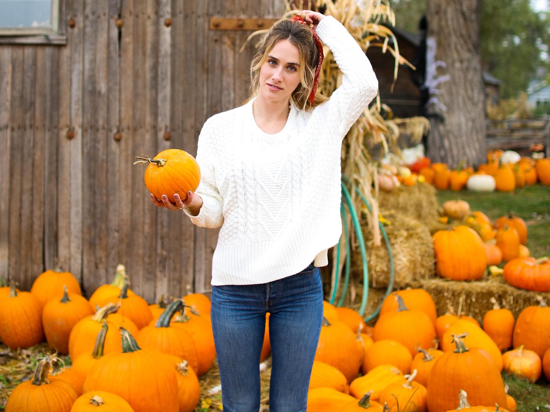 Diesen „Pumpkin Spice“-Pullover von Amazon wollen gerade alle!