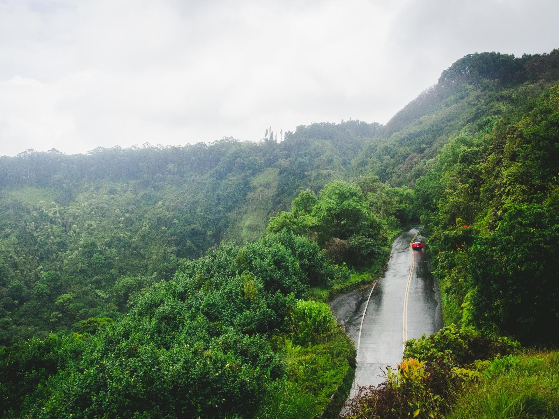 Road to Hana Road to Hana