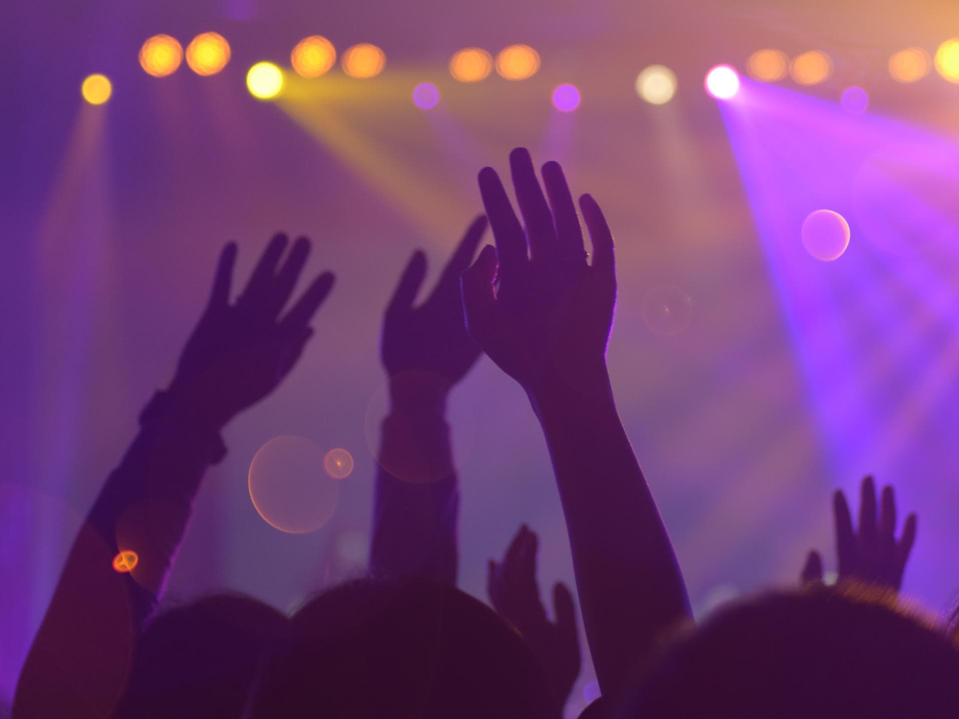 Festival Absagen wegen Coronavirus