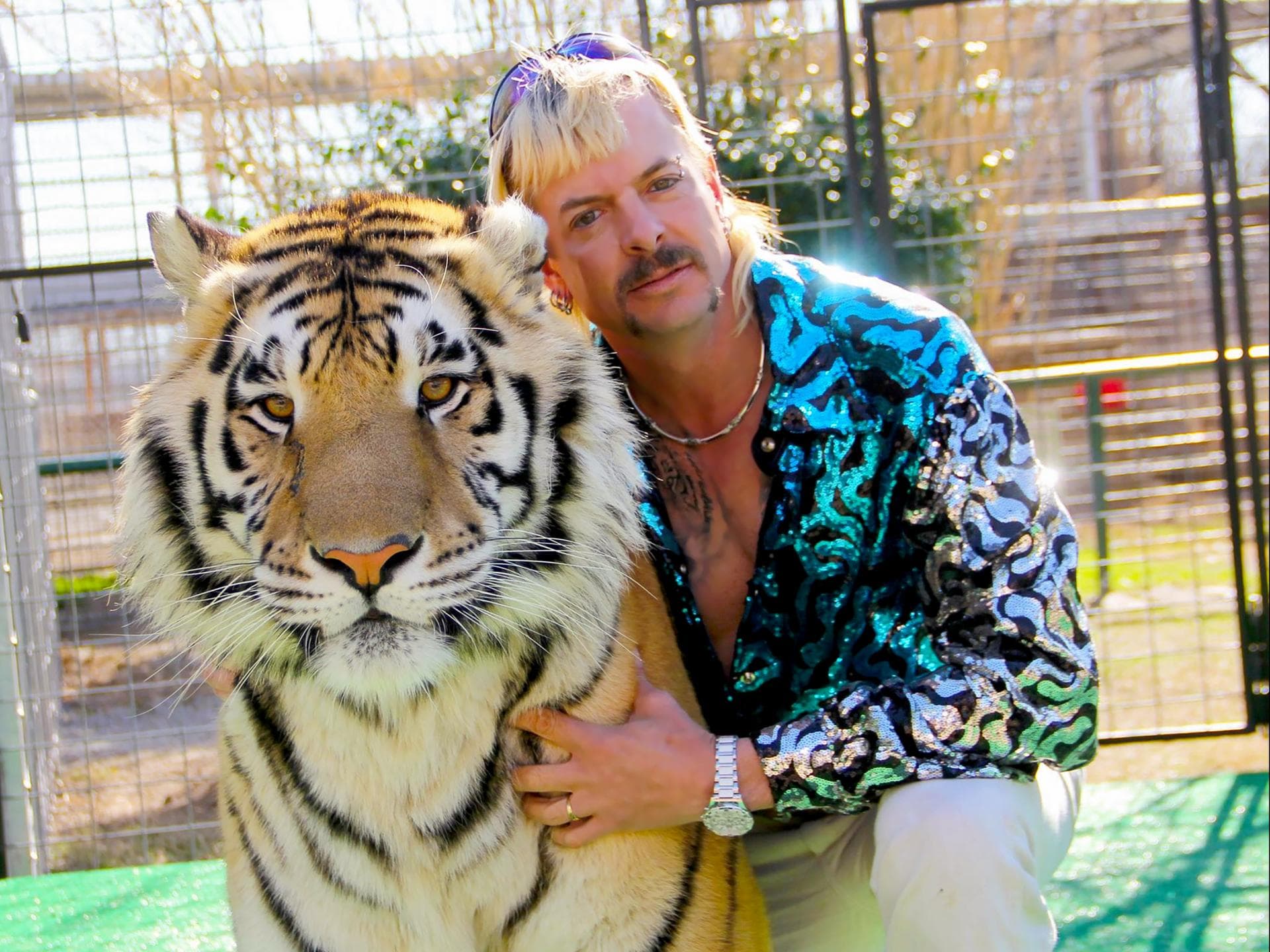 Tiger King Tiger King