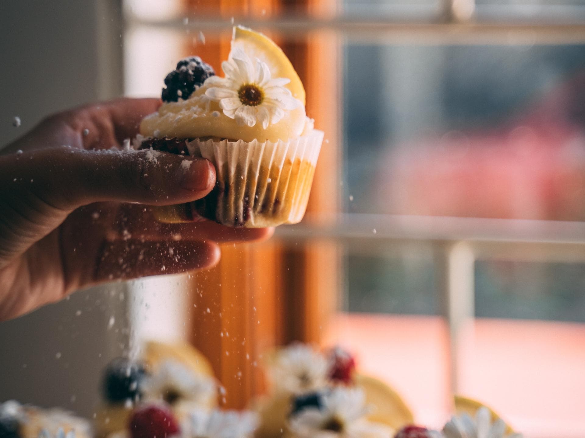 Cupcake Frosting