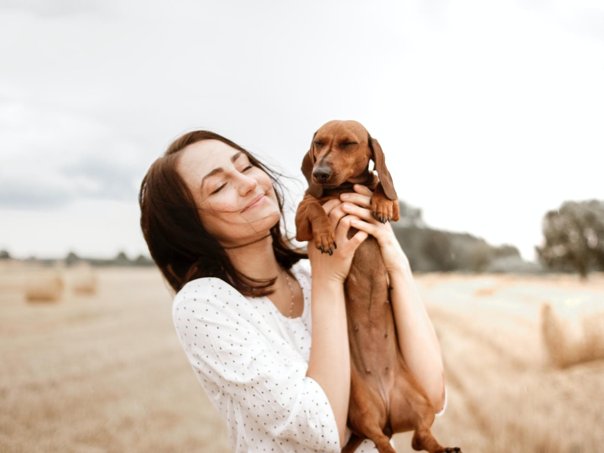 Hunde Gadgets Hunde Gadgets