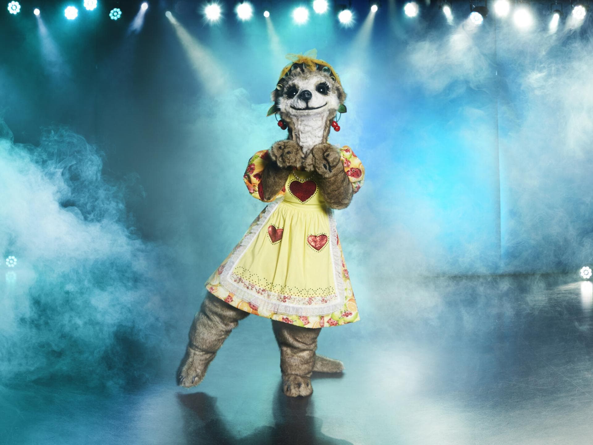 The Masked Singer Das Erdmännchen