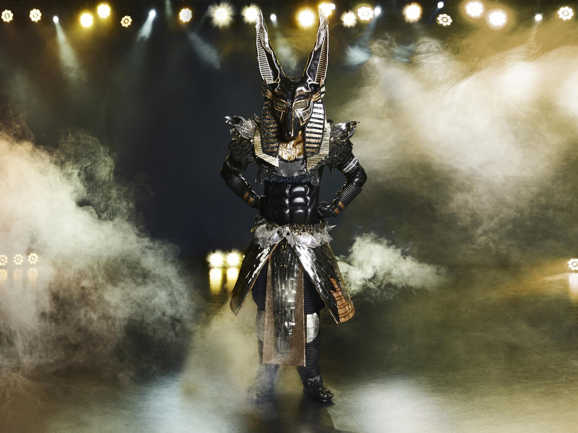The Masked Singer Der Anubis The Masked Singer Der Anubis