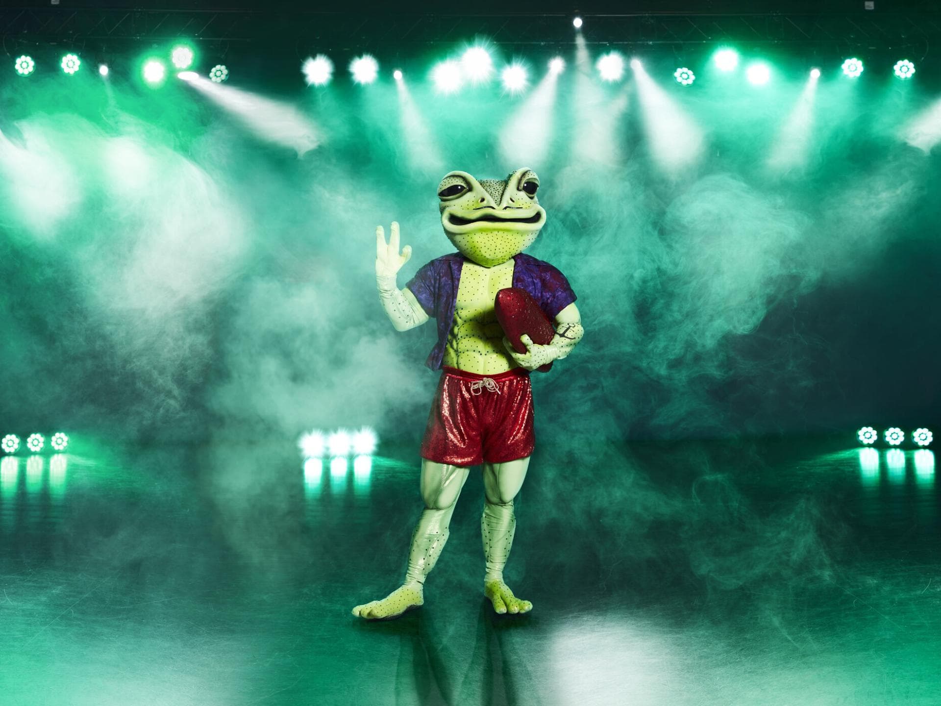 The Masked Singer Wer ist der Frosch The Masked Singer Frosch