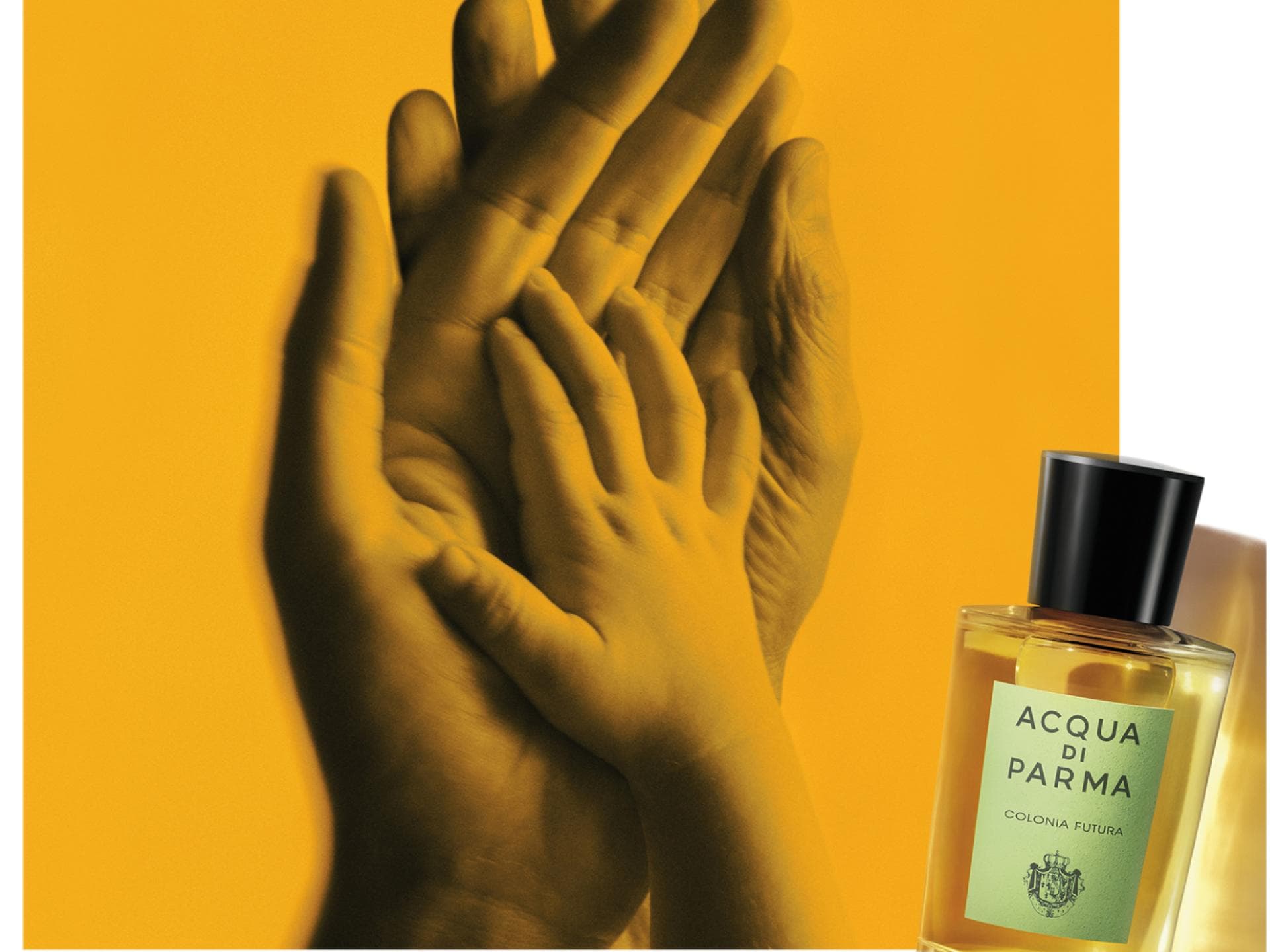 Acqua di Parma Acqua di Parma