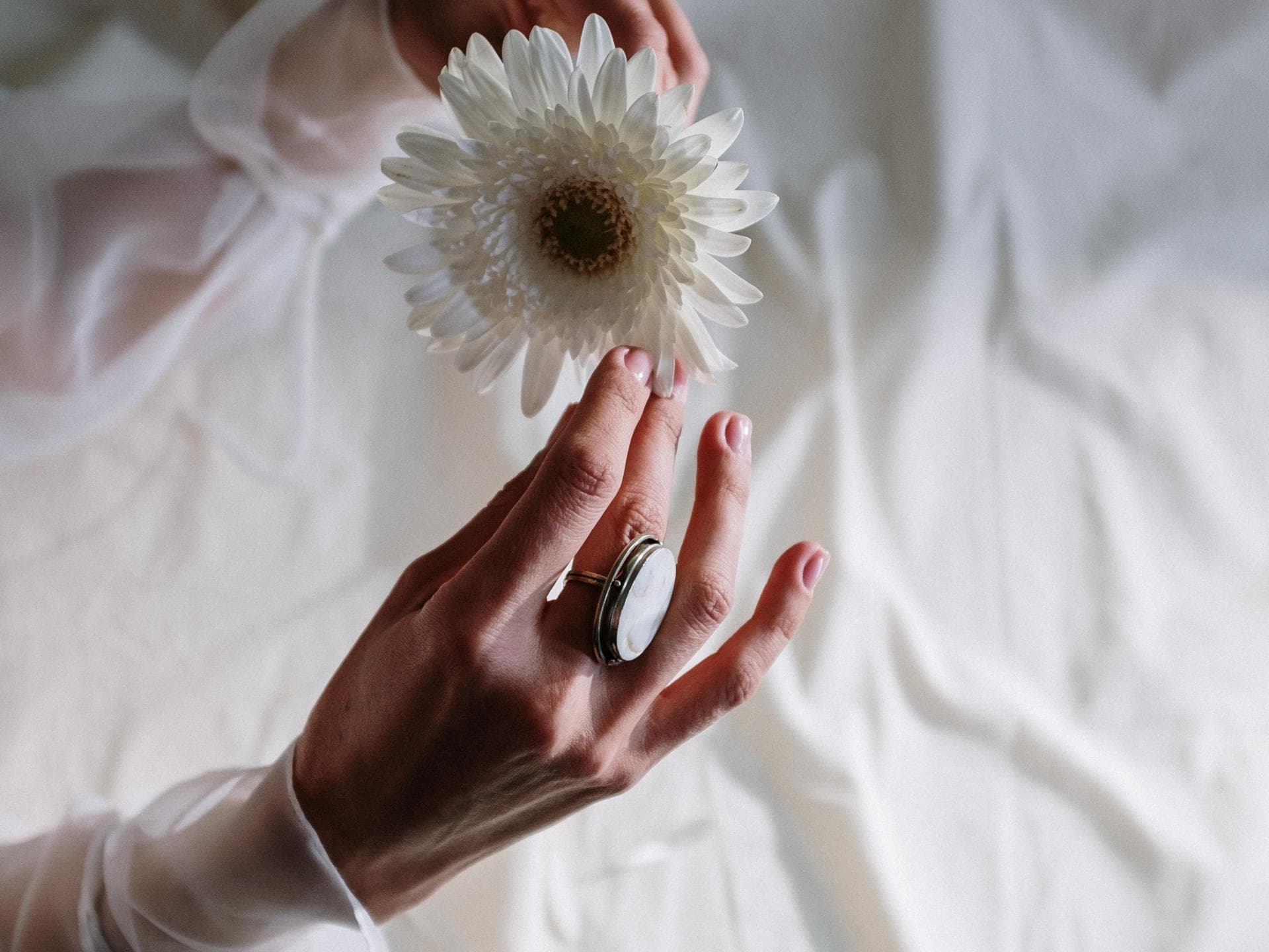 Hände mit einer Blume