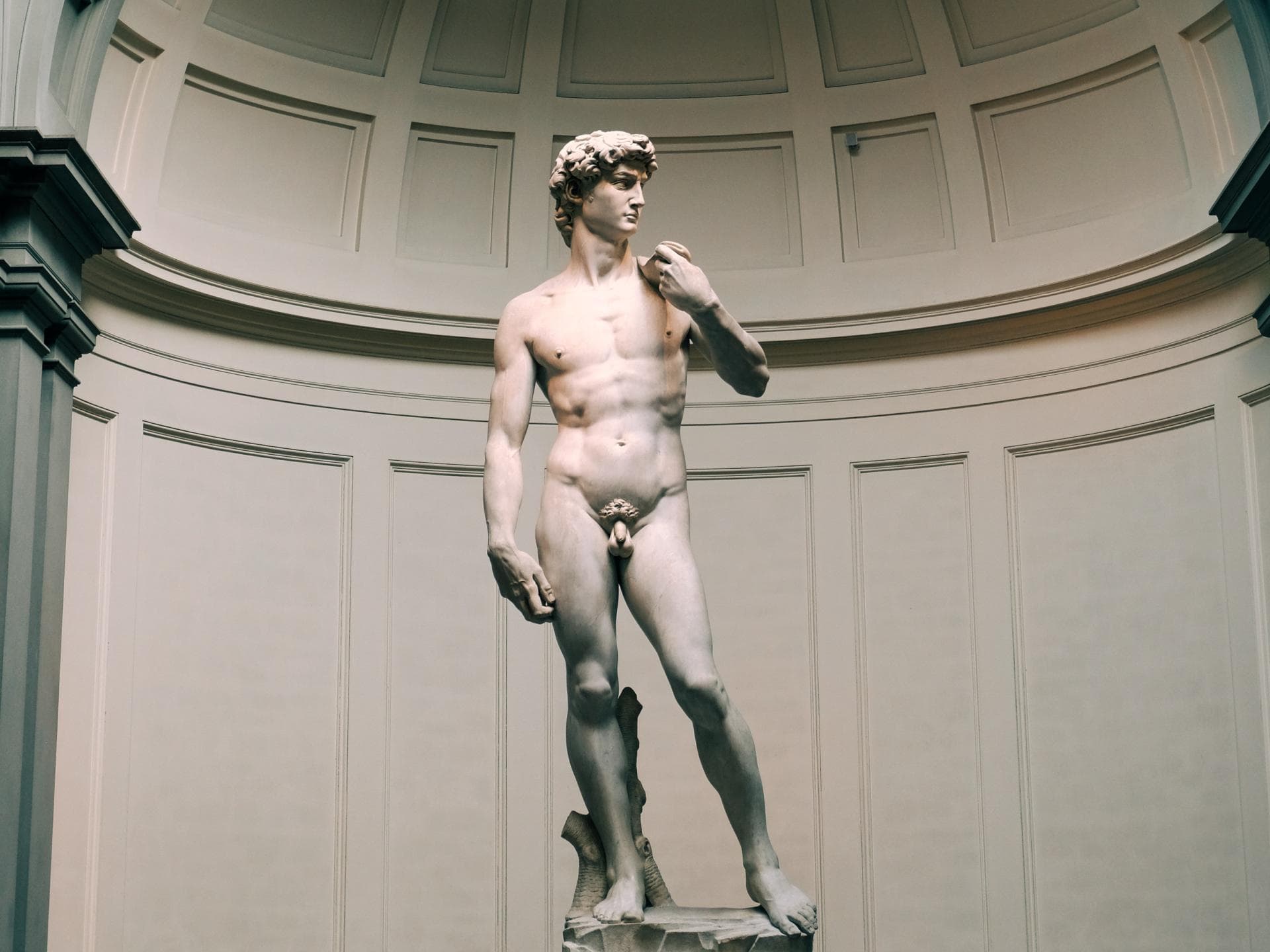 Statur nackt mit Penis