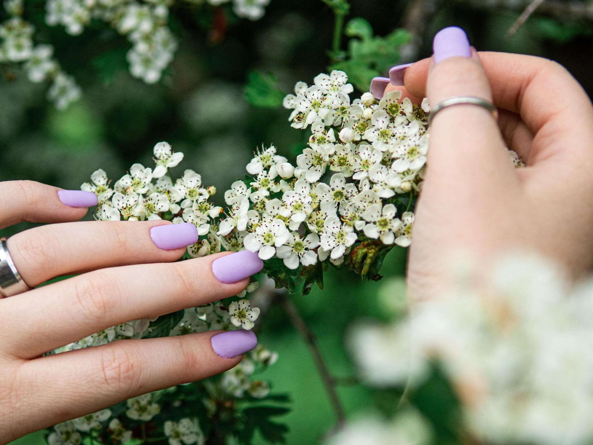 Matte Fingernägel mit lila Nagellack