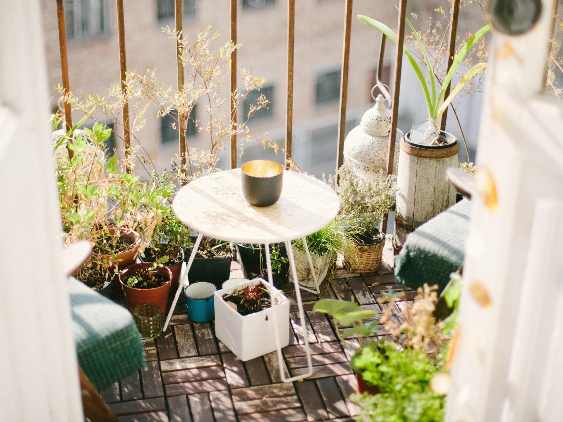 Balkon mit Pflanzen