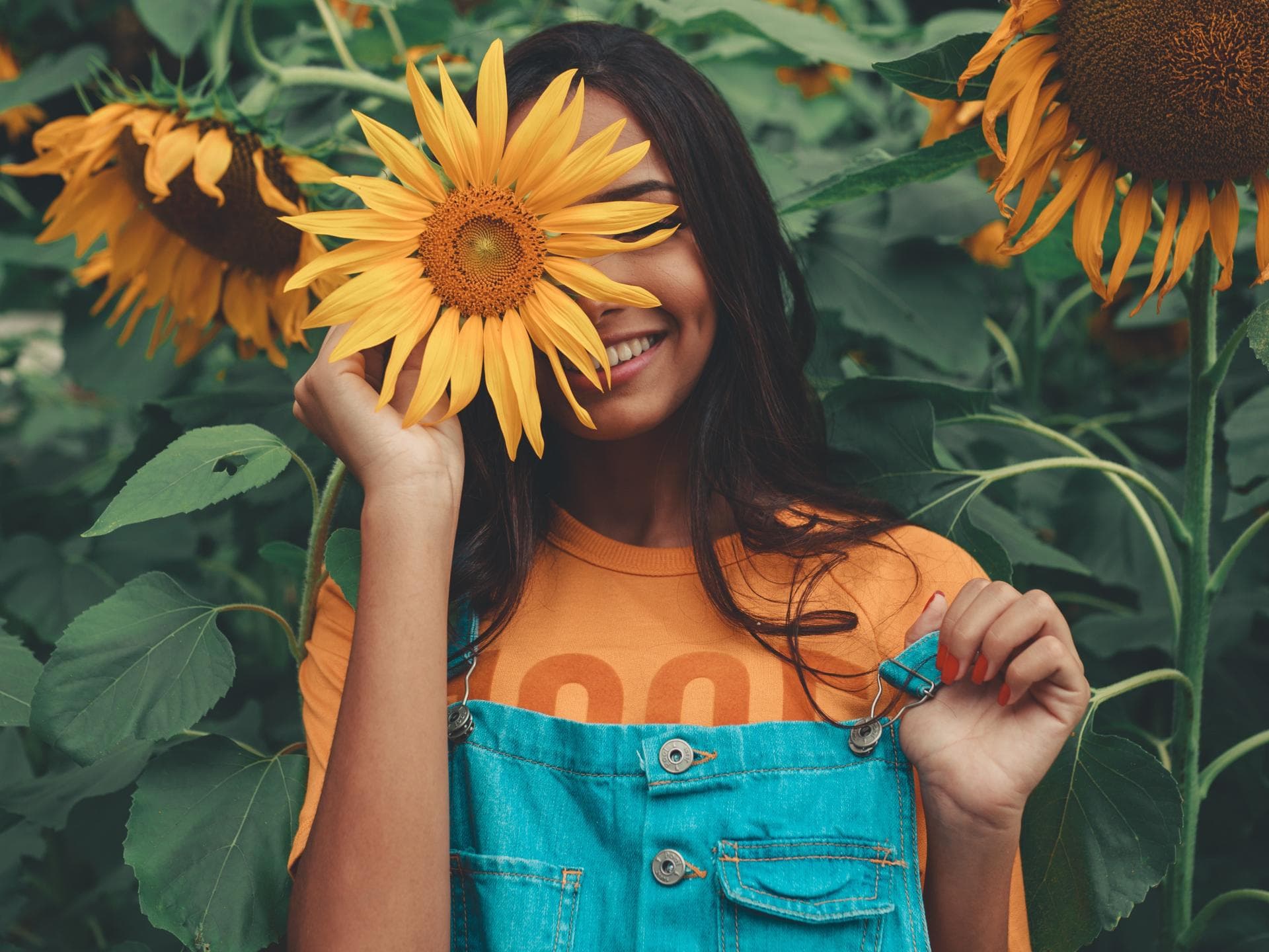 Horoskop: Frau mit Sonnenblume vor dem Gesicht