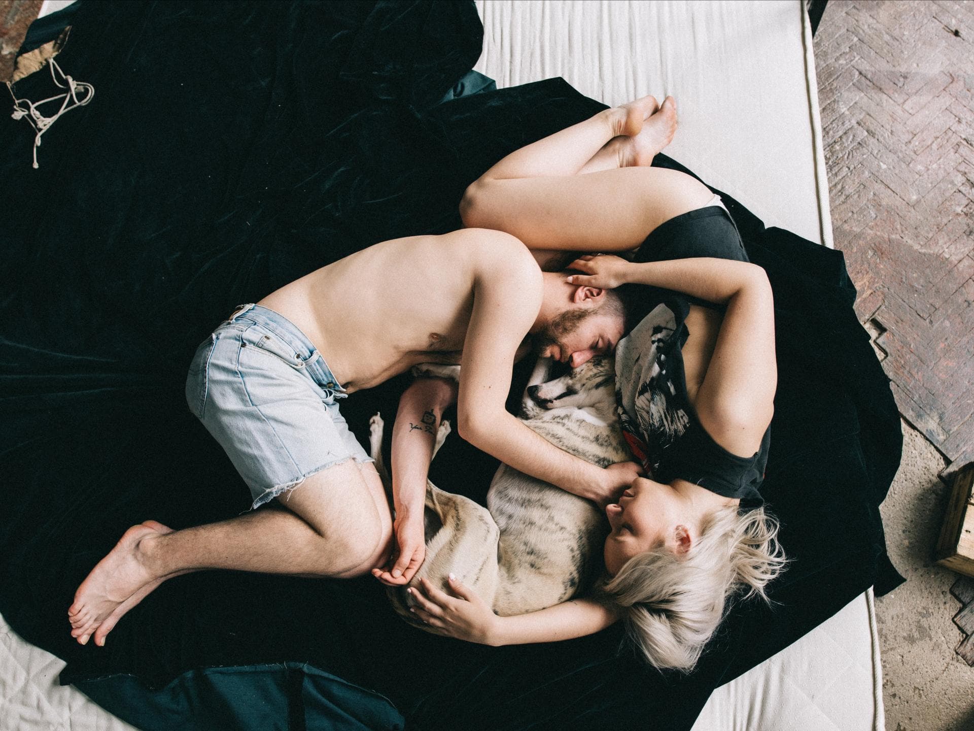 On-Off-Beziehung On-Off-Beziehung: Mann und Frau liegen mit Hund auf einem Bett