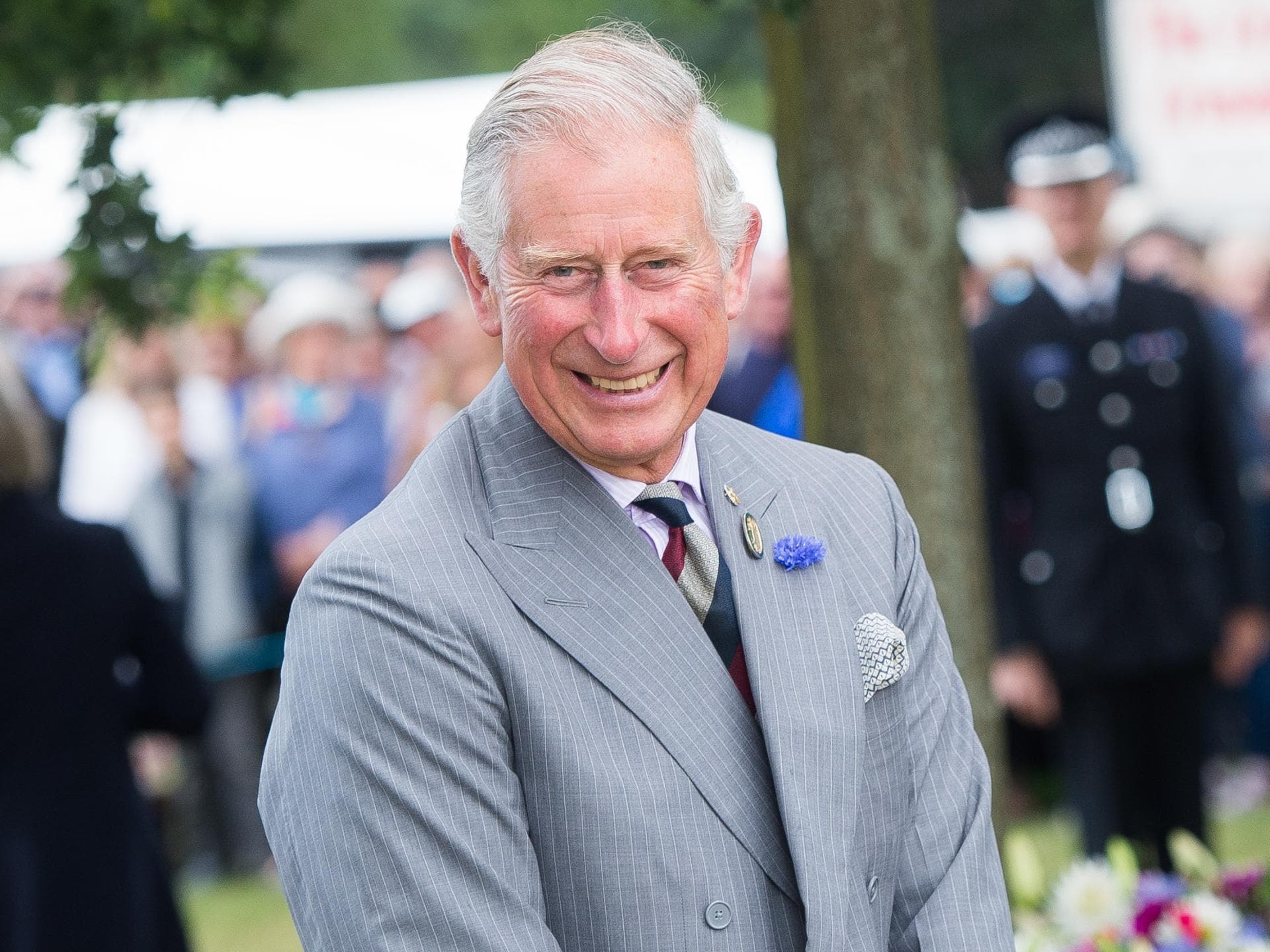 Prinz Charles Pläne als König Prinz Charles Pläne als König