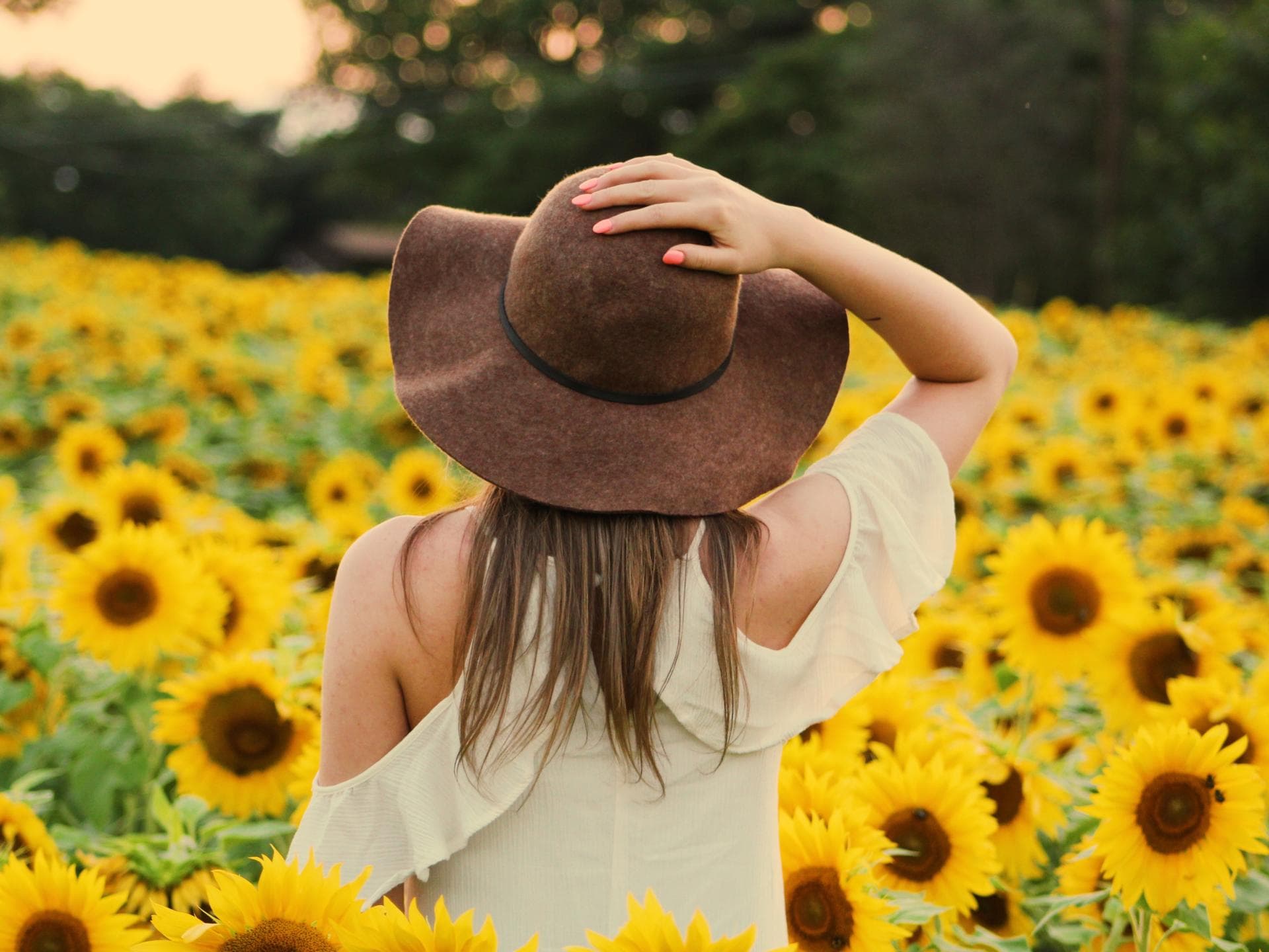 Horoskop Thema Horoskop Thema: Frau mit Hut im Sonnenblumenfeld