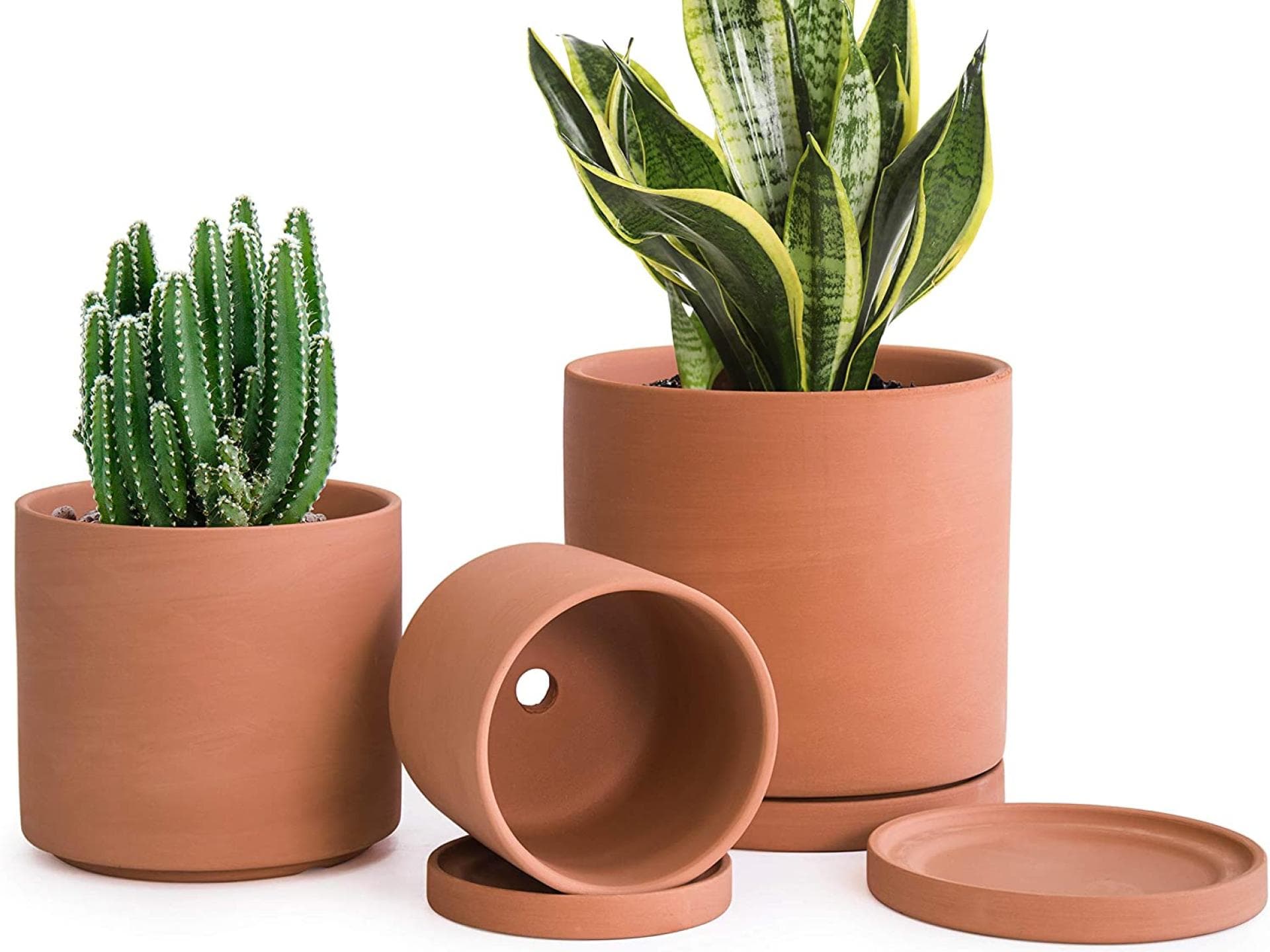 Terrakotta Übertopf für Pflanzen