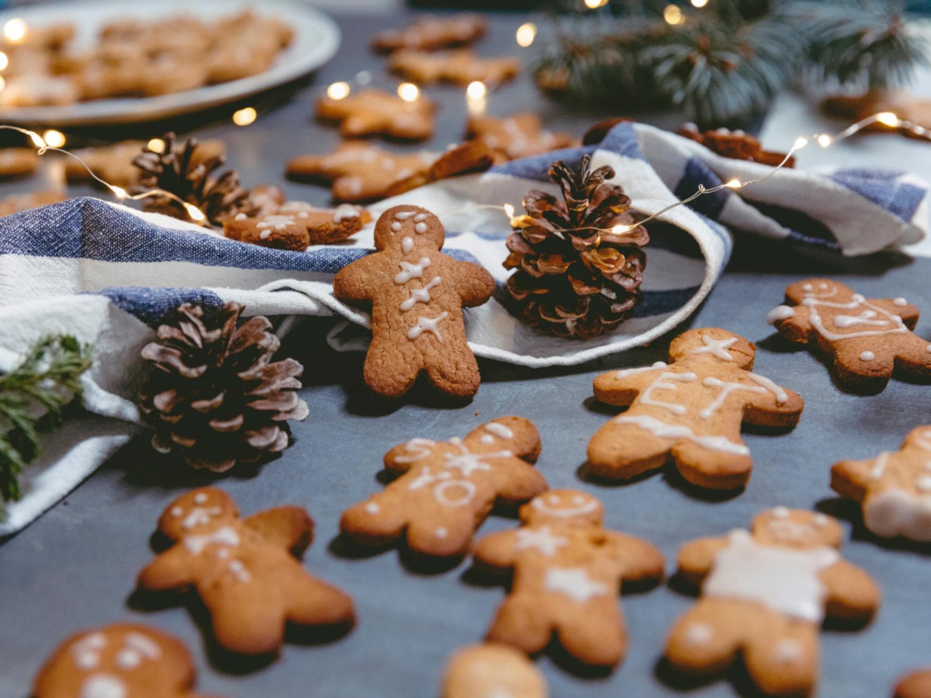 Vegane Weihnachtsplätzchen