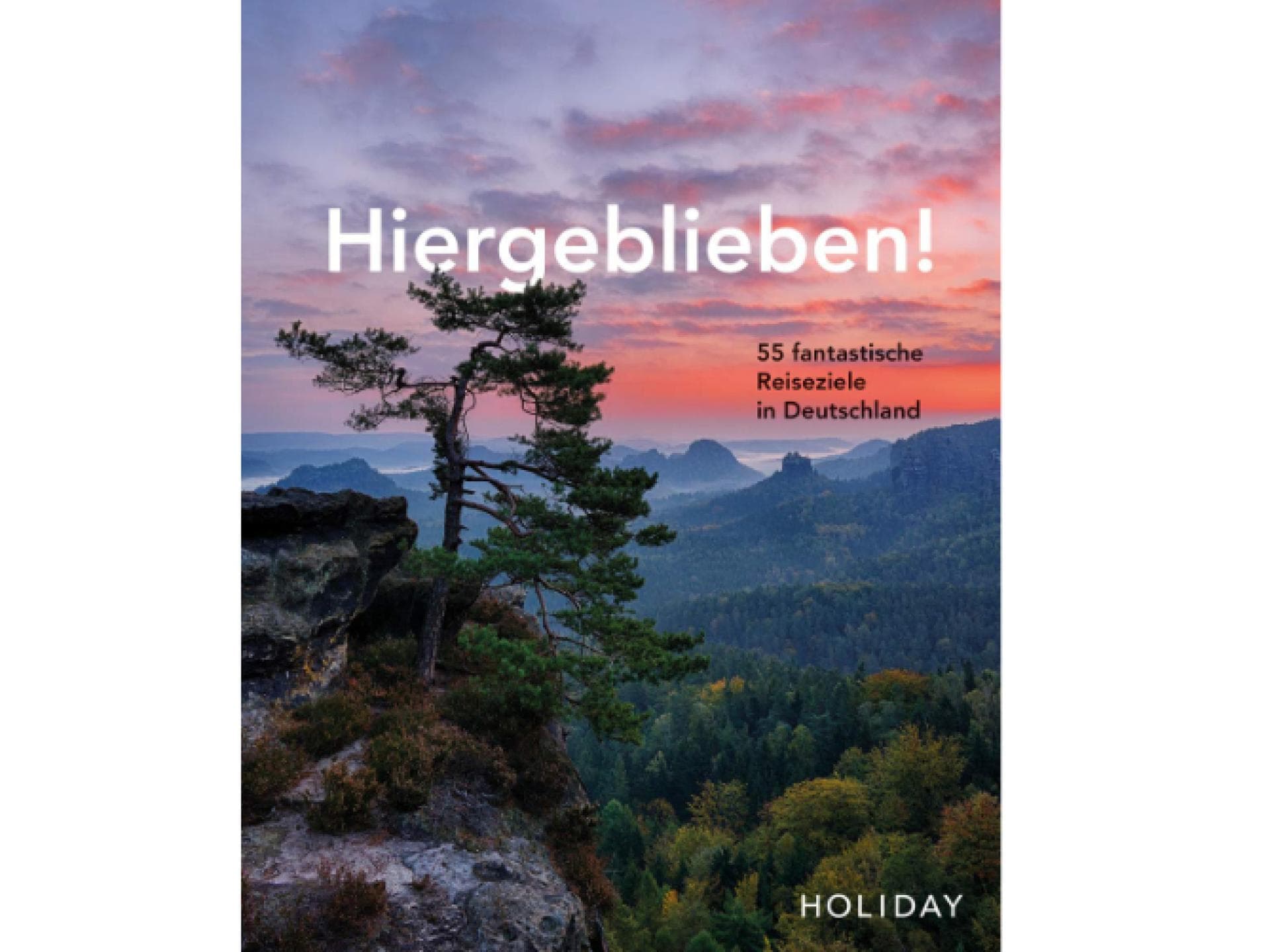 Hiergeblieben Buch
