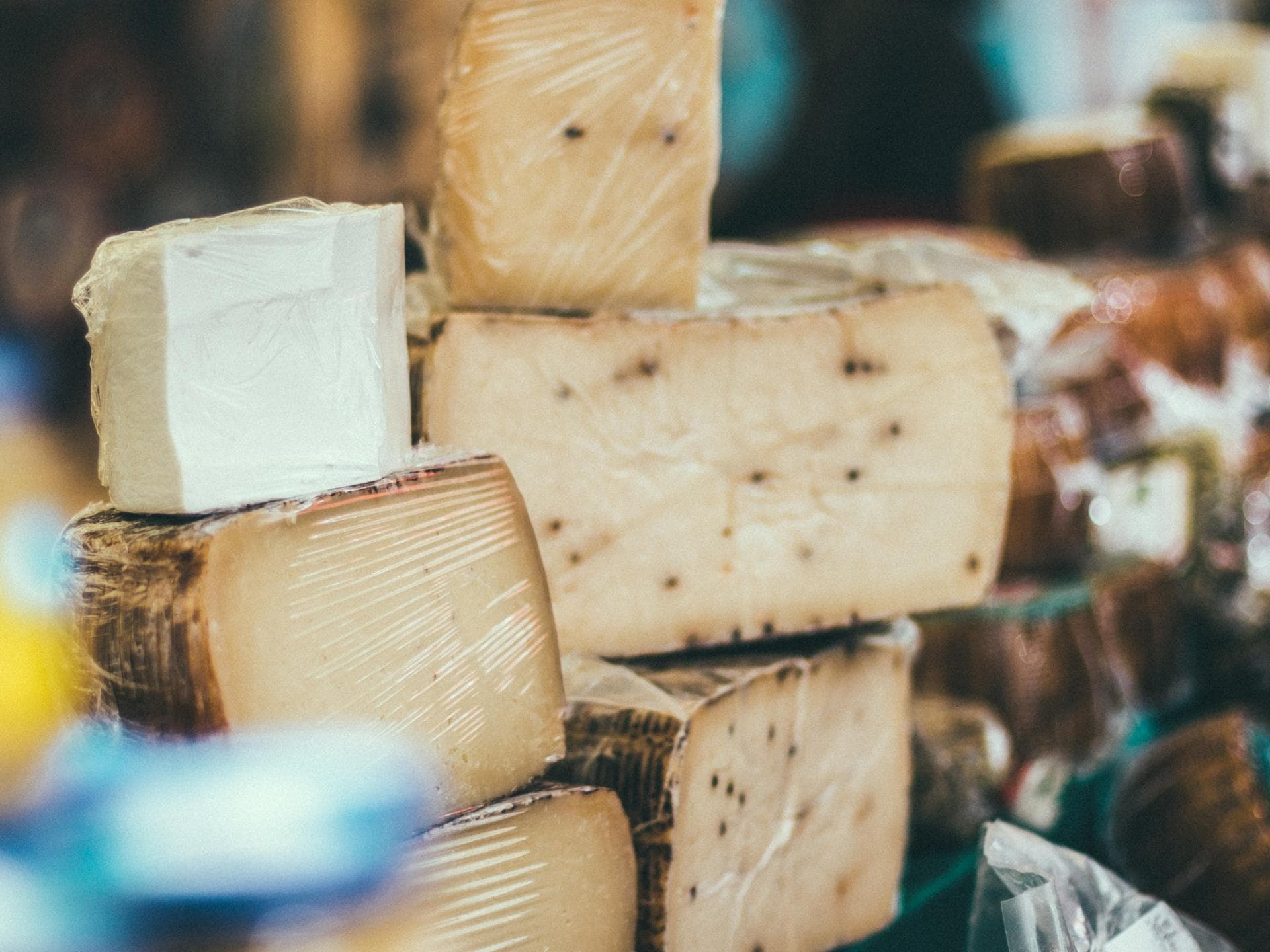 Verschiedene Käse Sorten