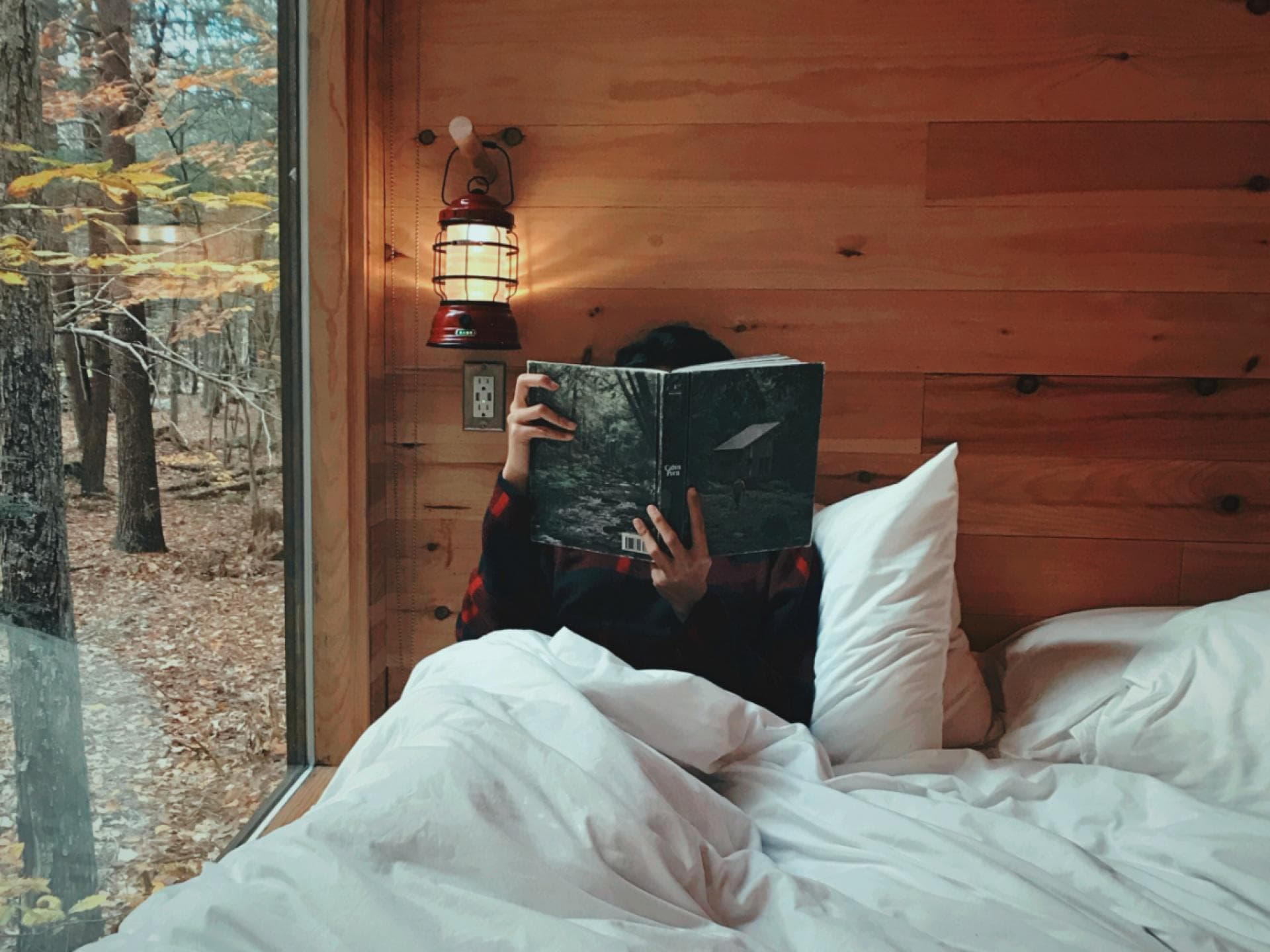 Thriller Bücher