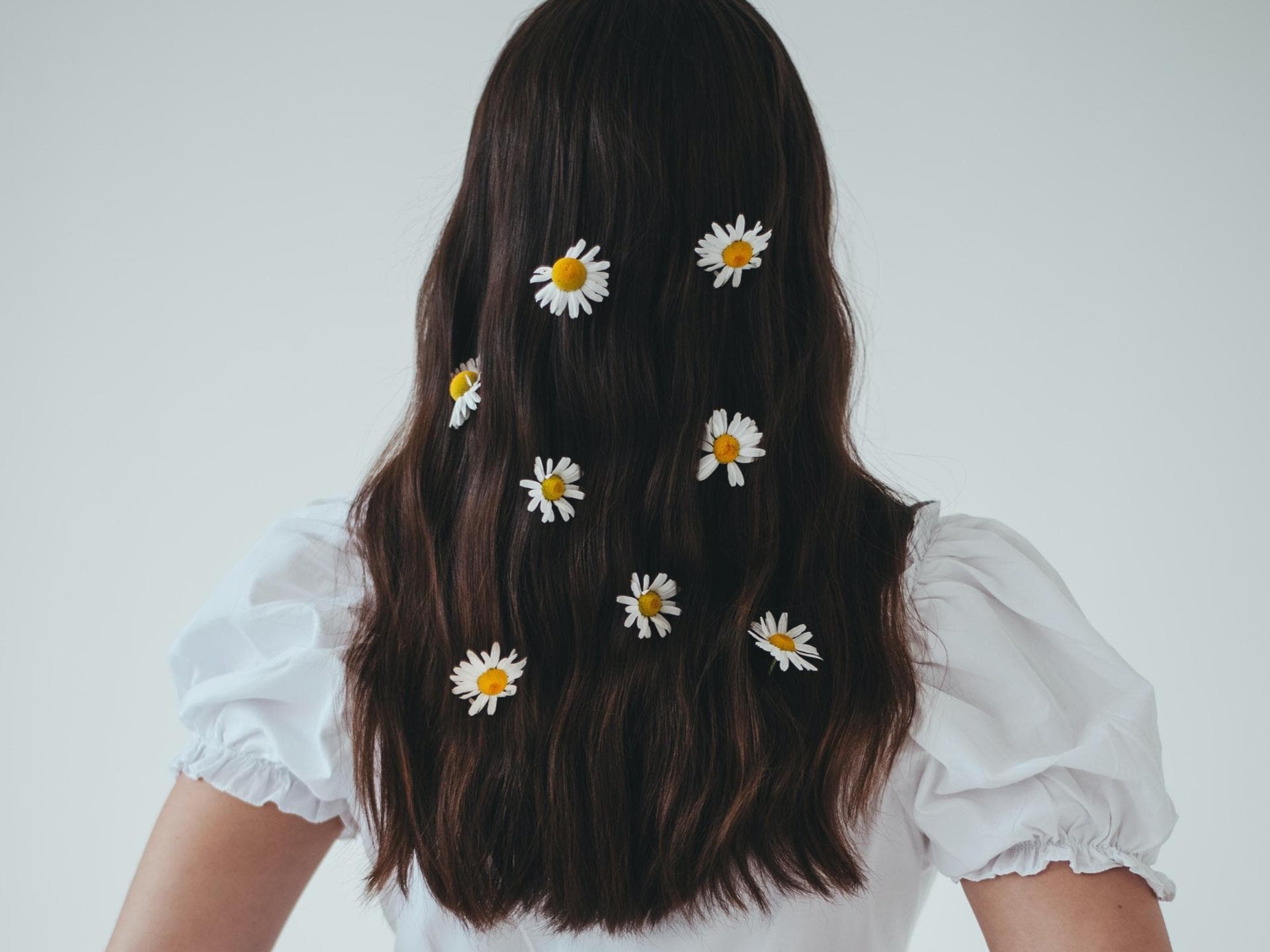 Blumen in Haaren