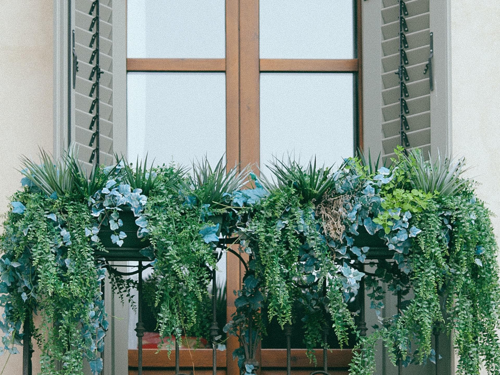 Balkon Duft