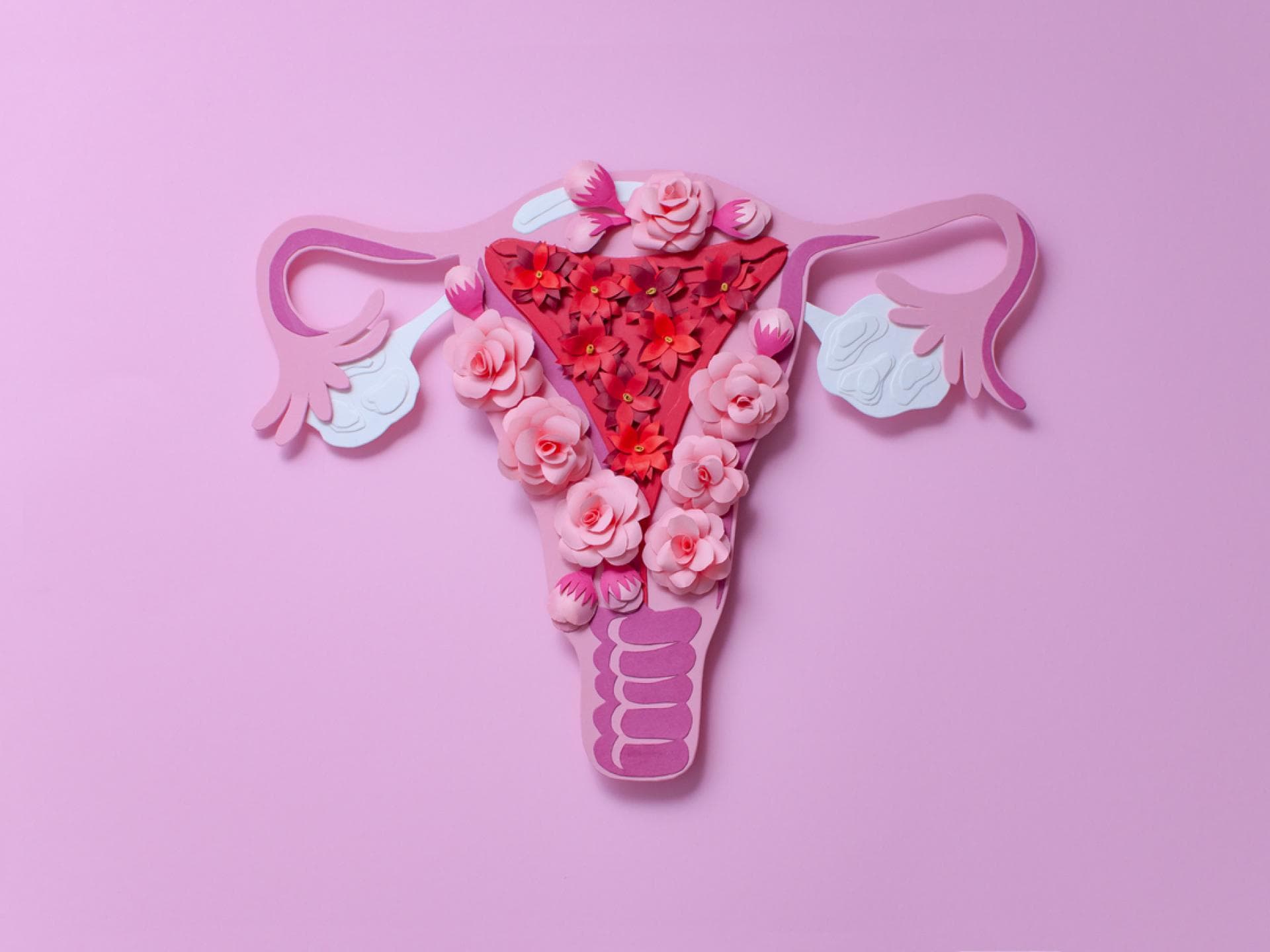 Uterus