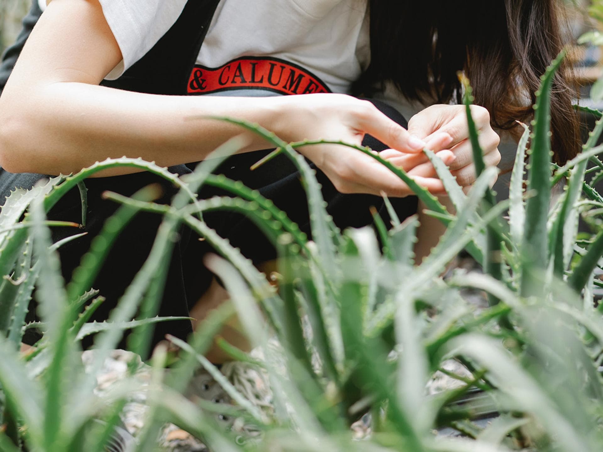 Frau mit Aloe Vera Pflanze