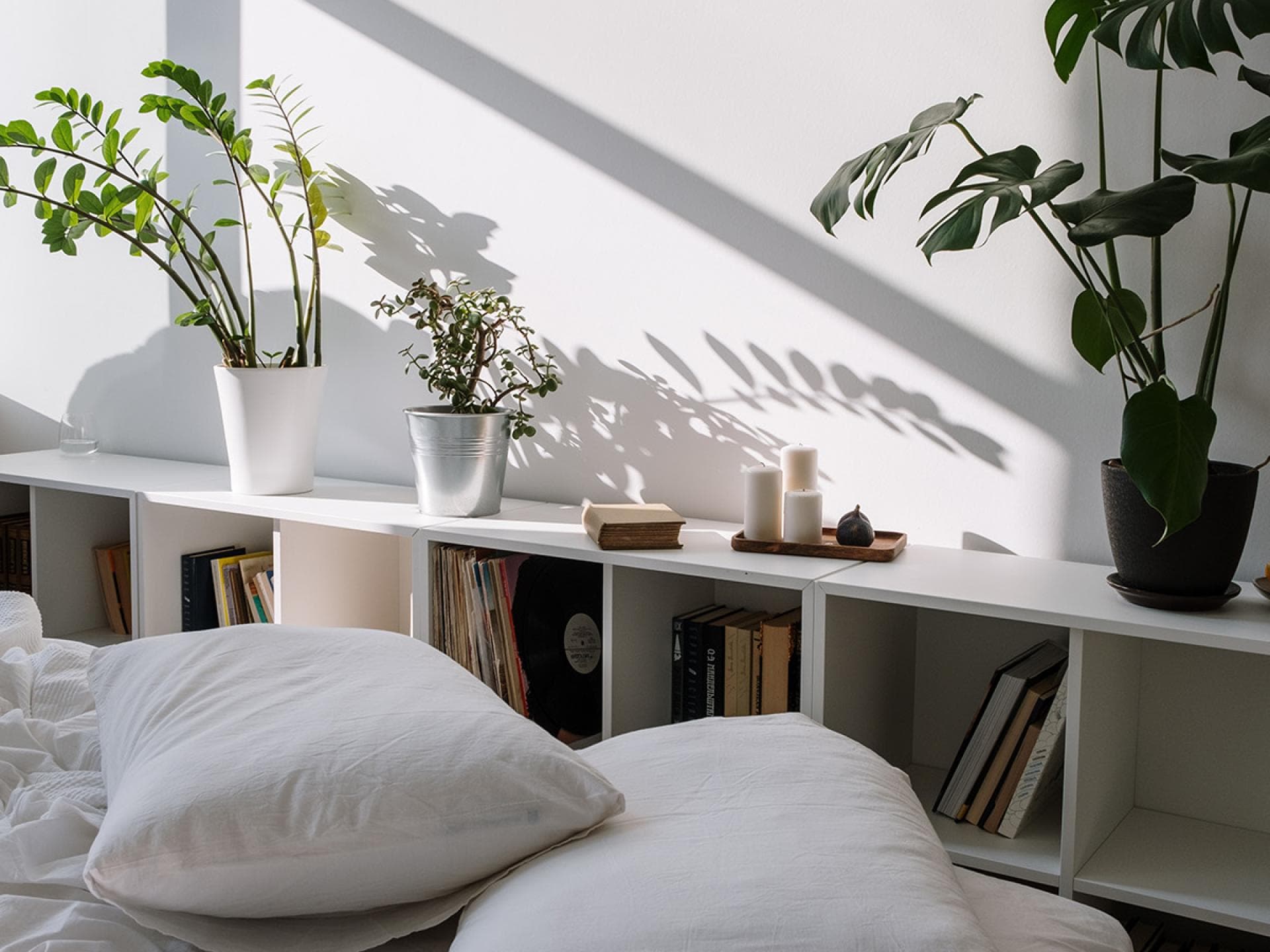 Pflanzen im Schlafzimmer