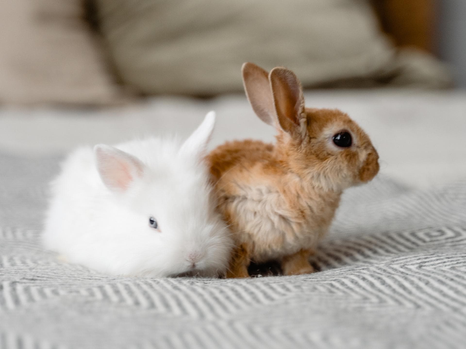 Ostern