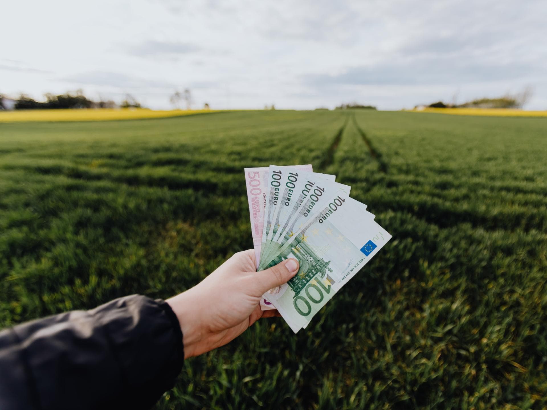 Geldscheine in der Hand