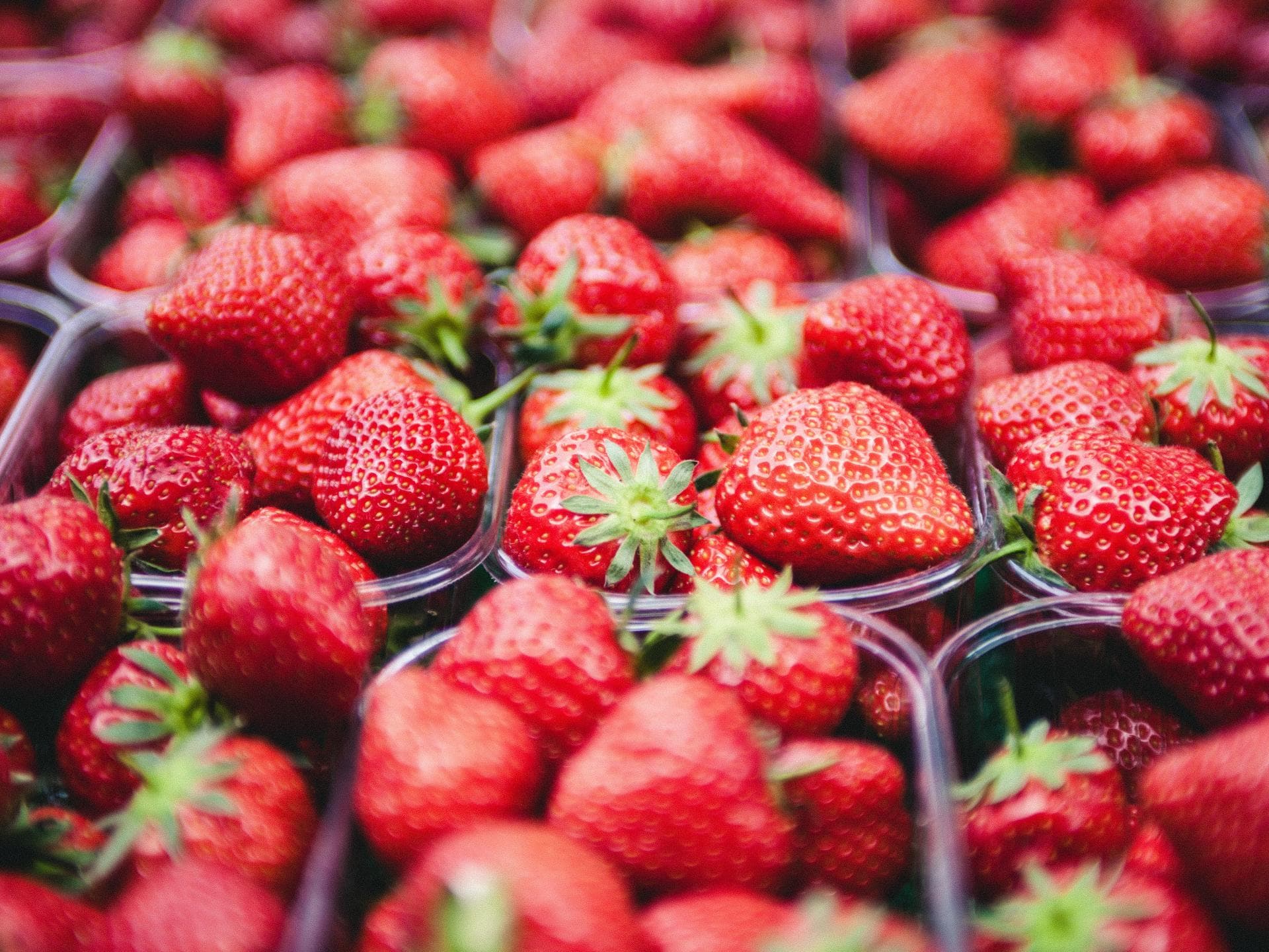 Erdbeeren in Plastikschale