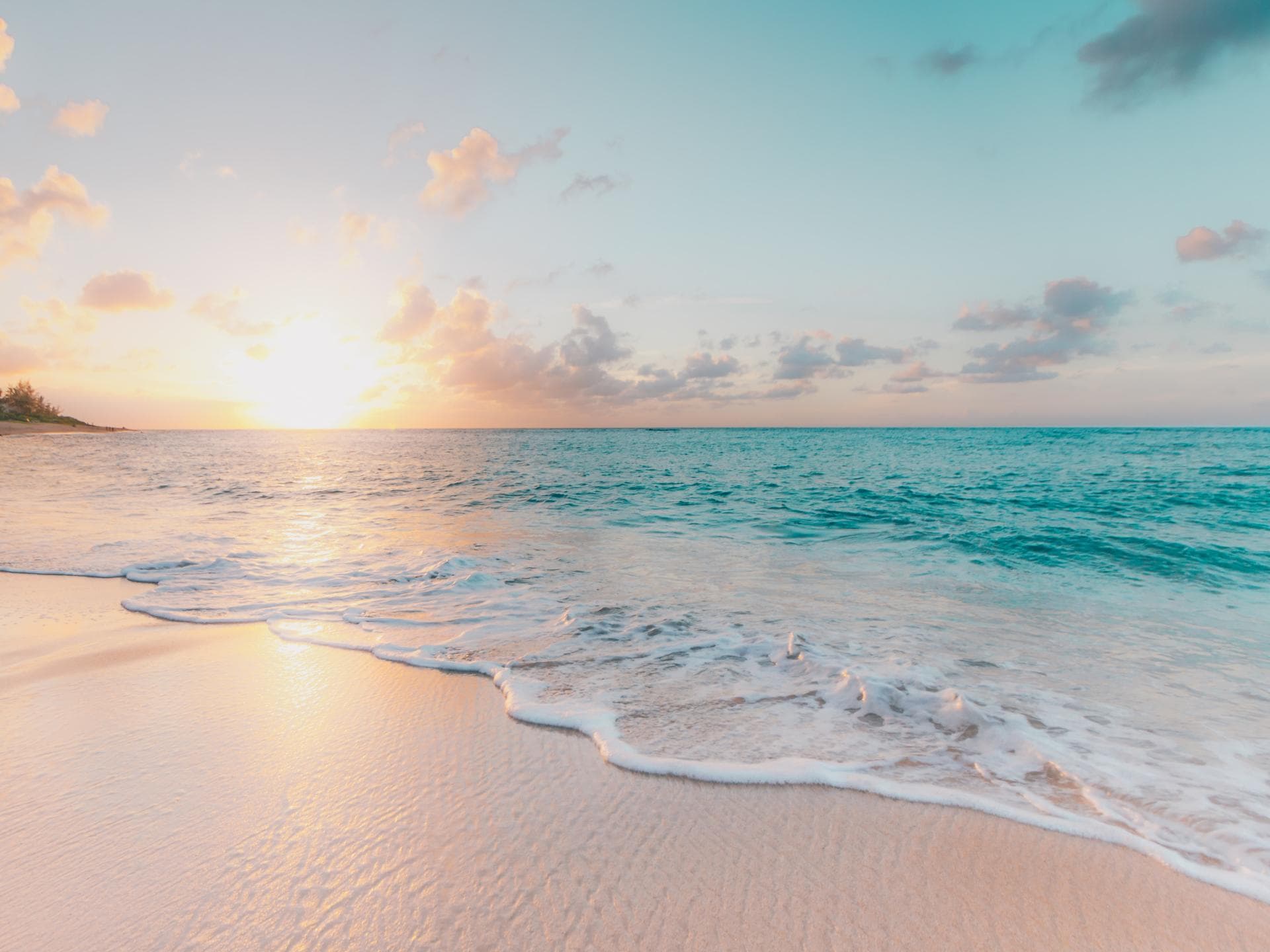 Strand mit Meer und Palmen 