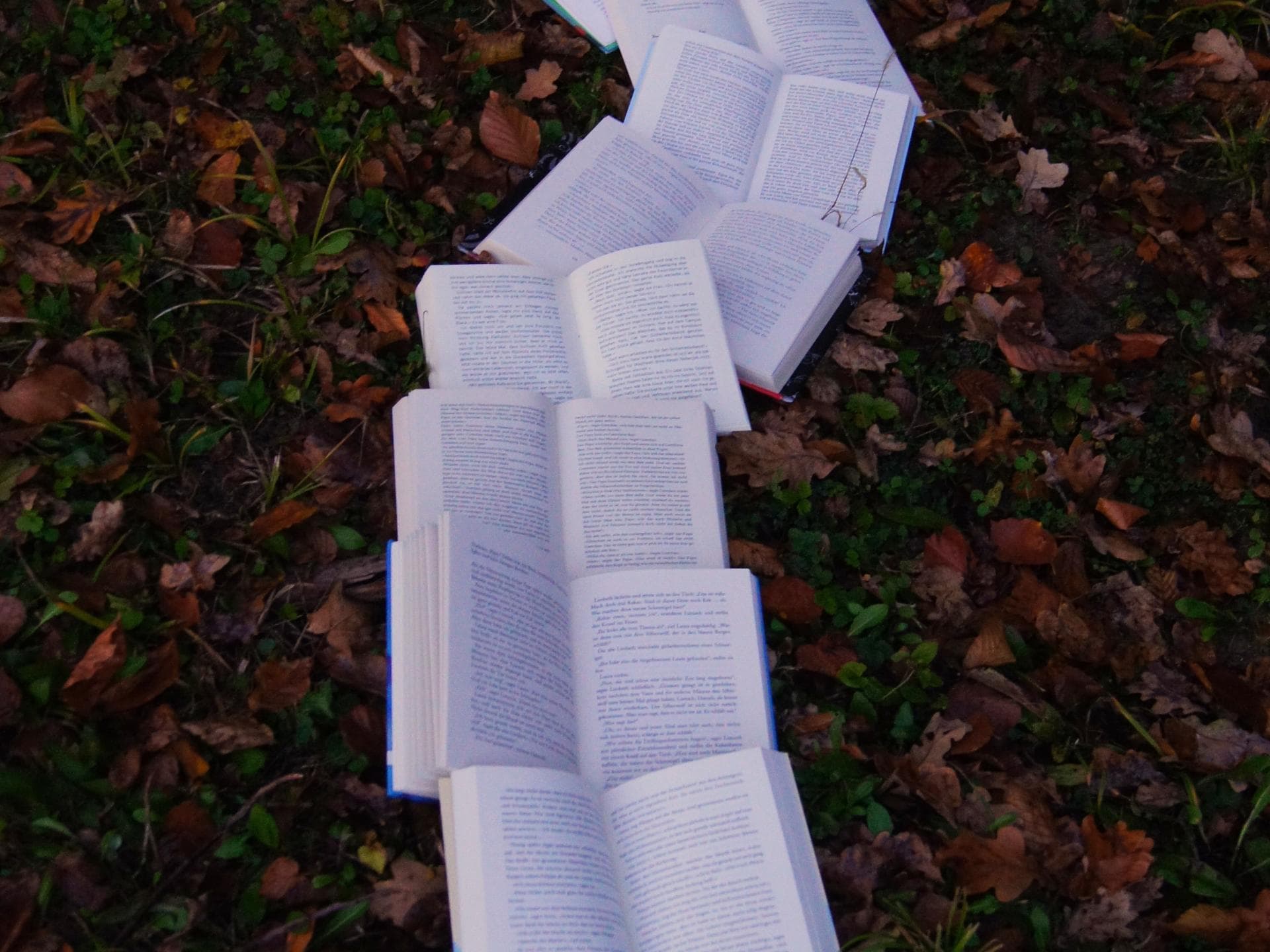 Bücher liegen auf Blättern