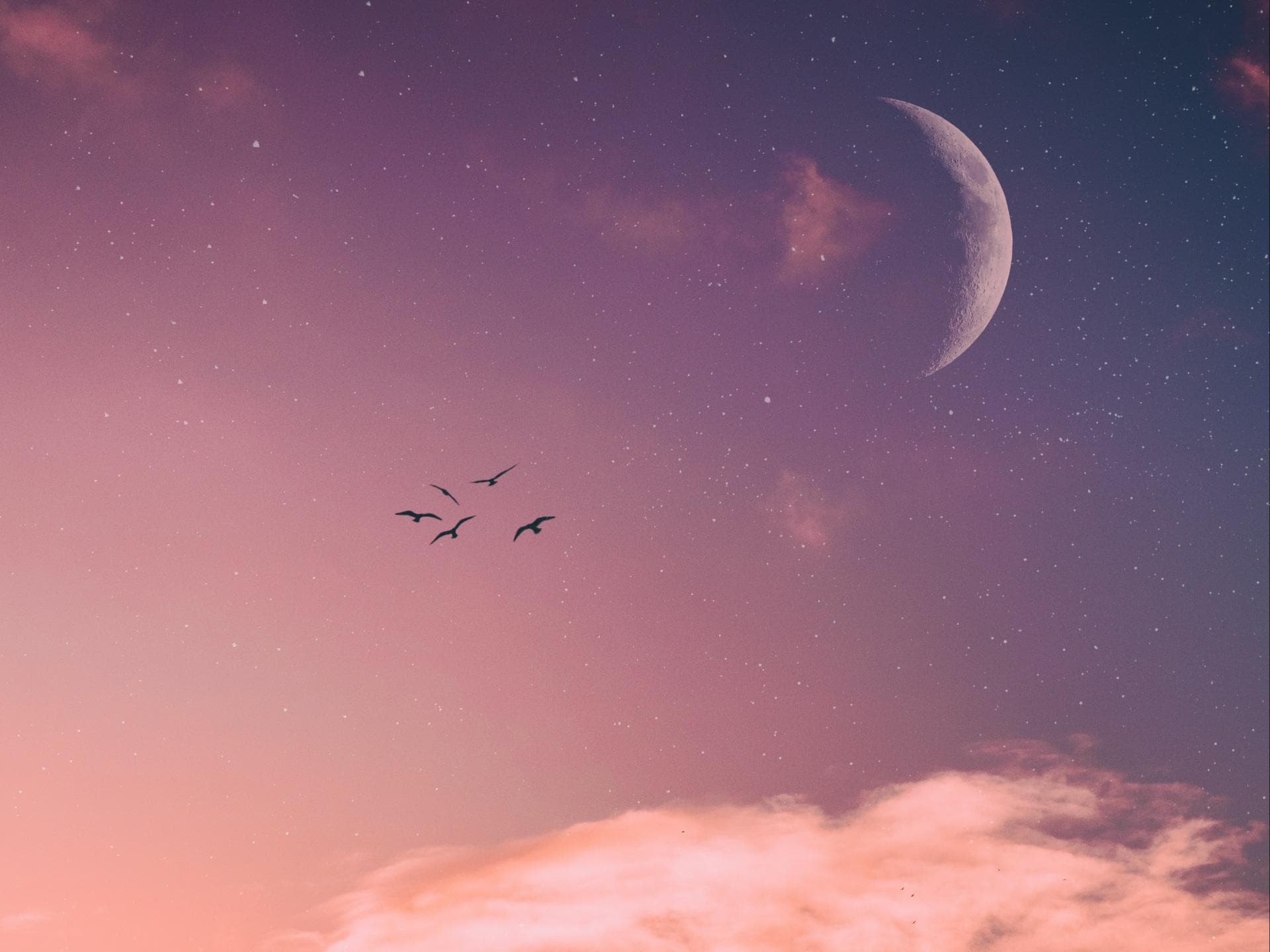 Neumond im August
