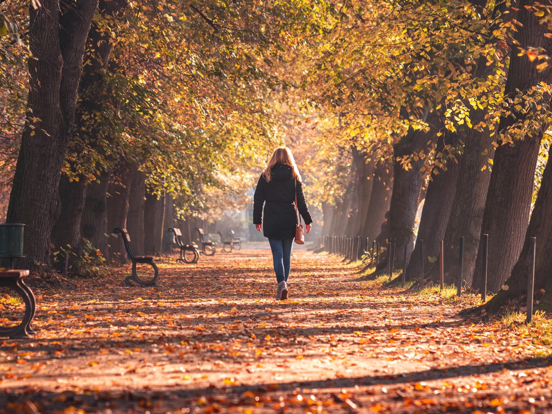 Frau spaziert im herbstlichen Wald