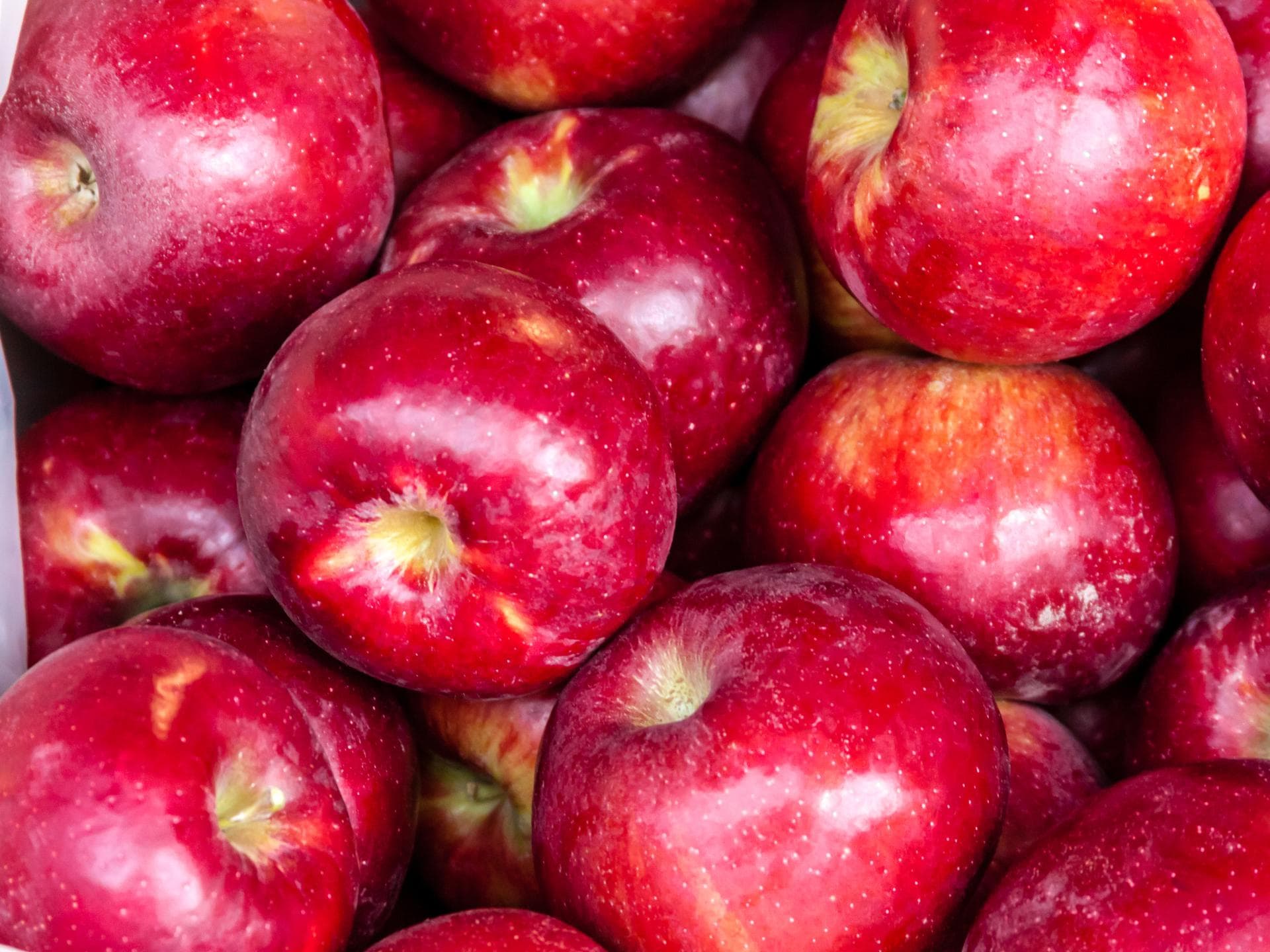 Apfel rot