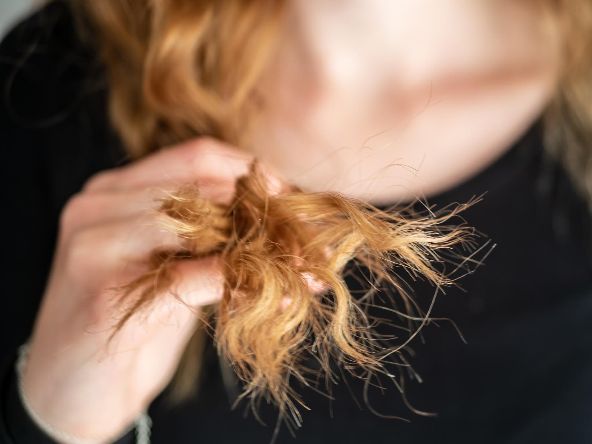 Haare mit Spliss